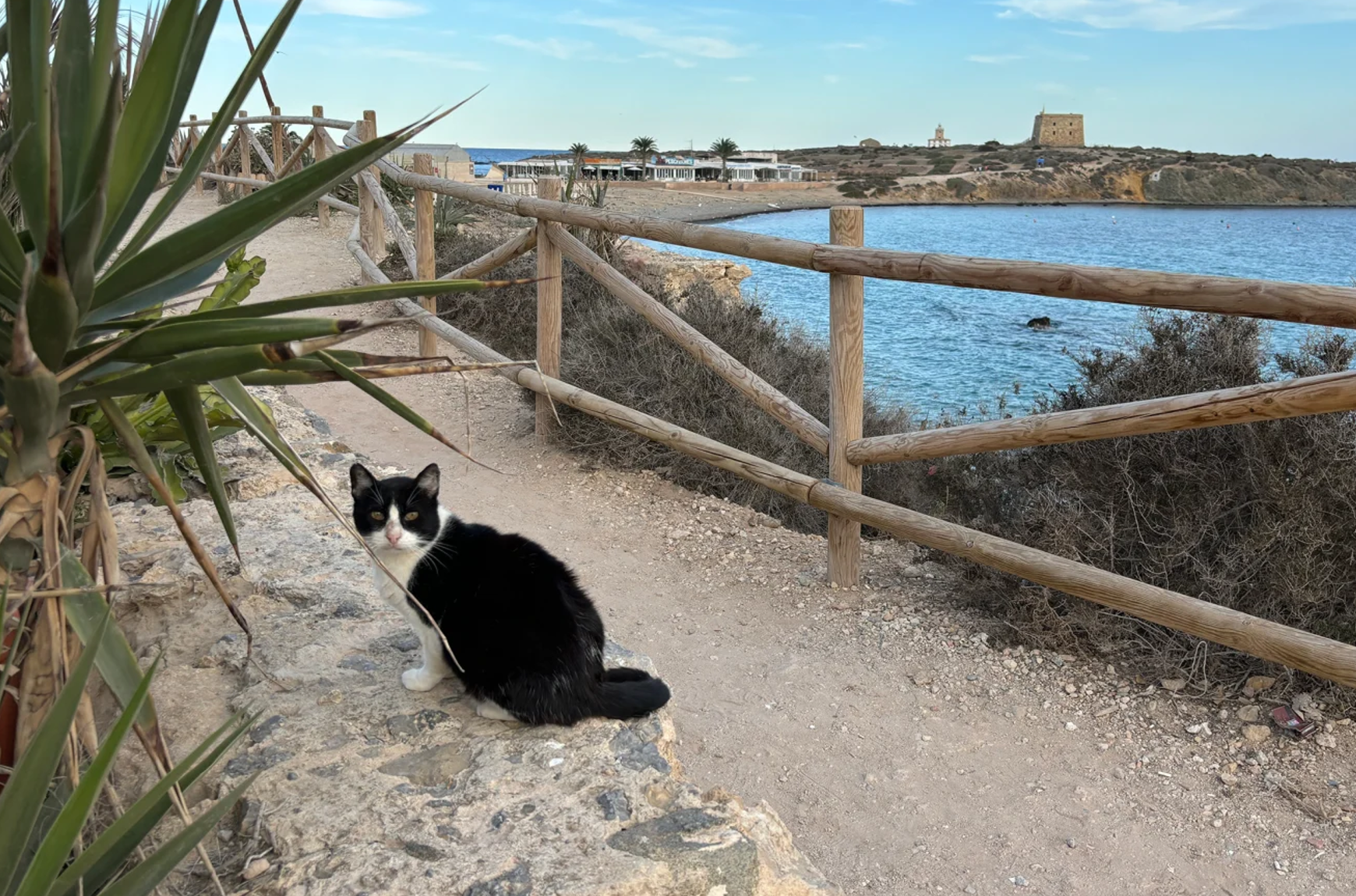 Otok Tabarca med obiskom novinarja CNN