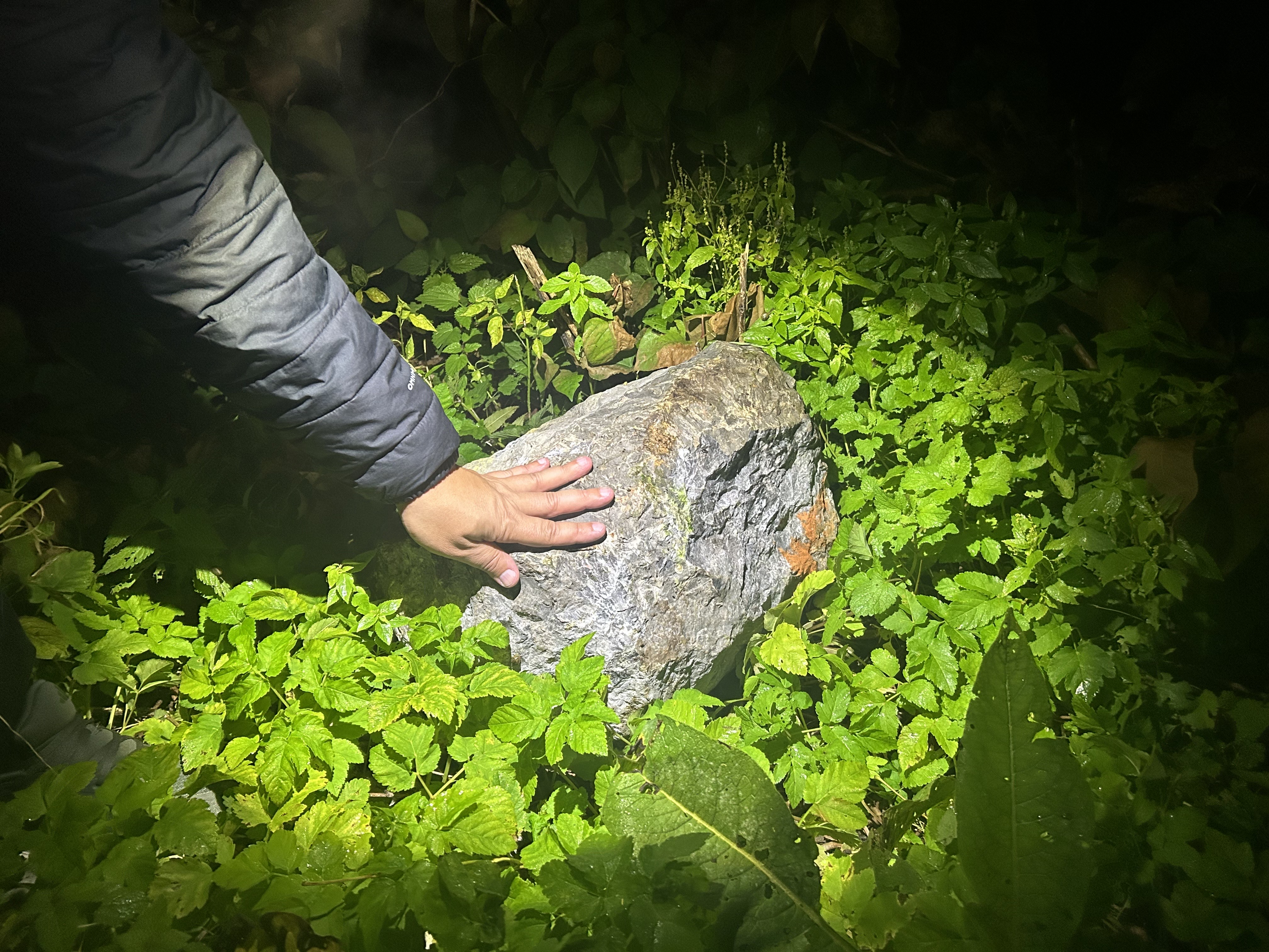 Skala, v katero je trčil vlak