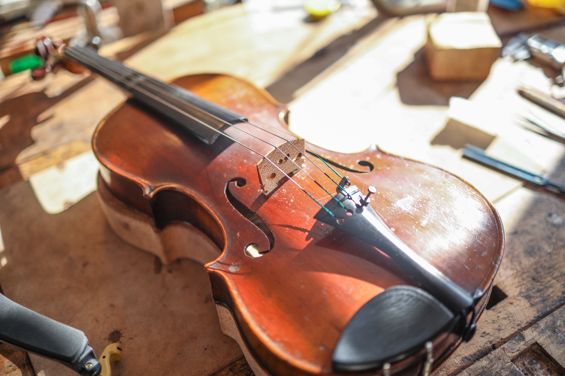 Violina Alberta Einsteina iz leta 1894