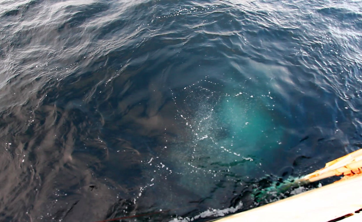 World's largest fountain of methane found in the Arctic ocean