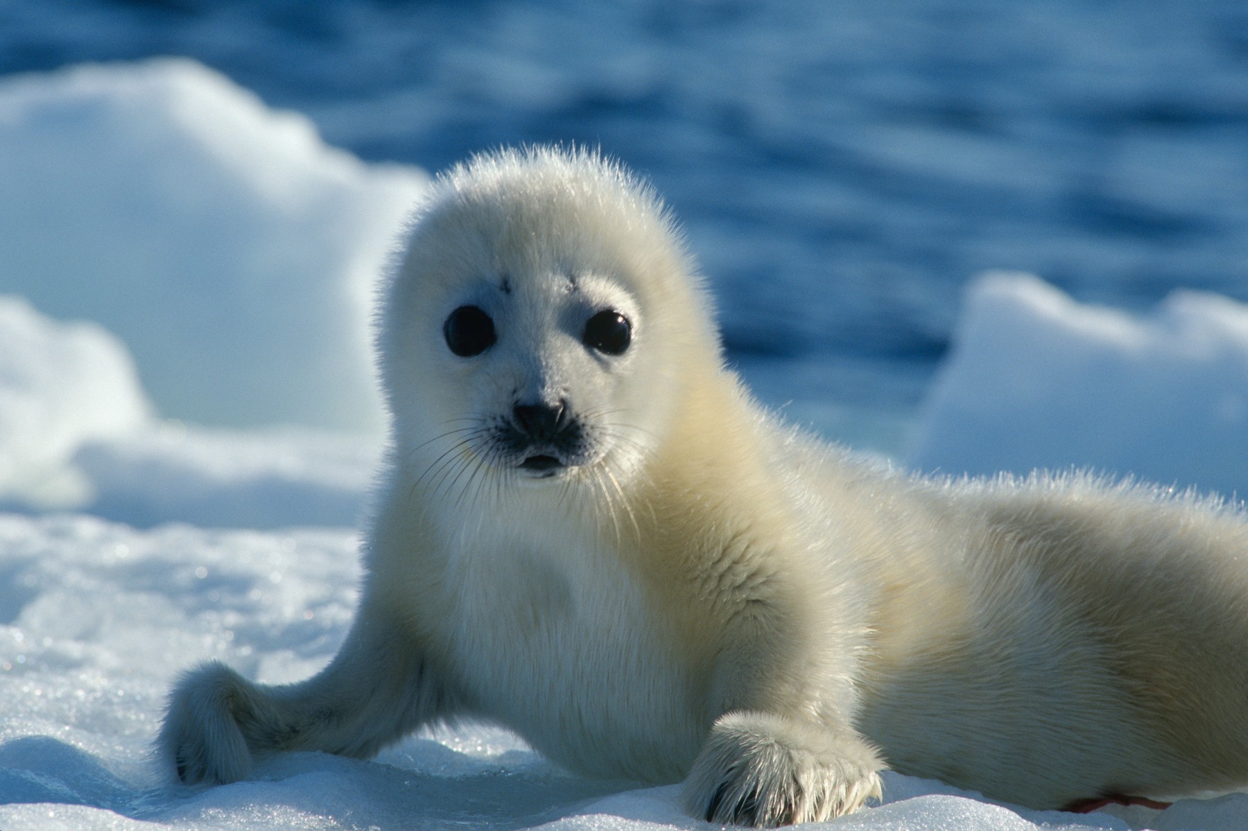 profimedia-0006461084