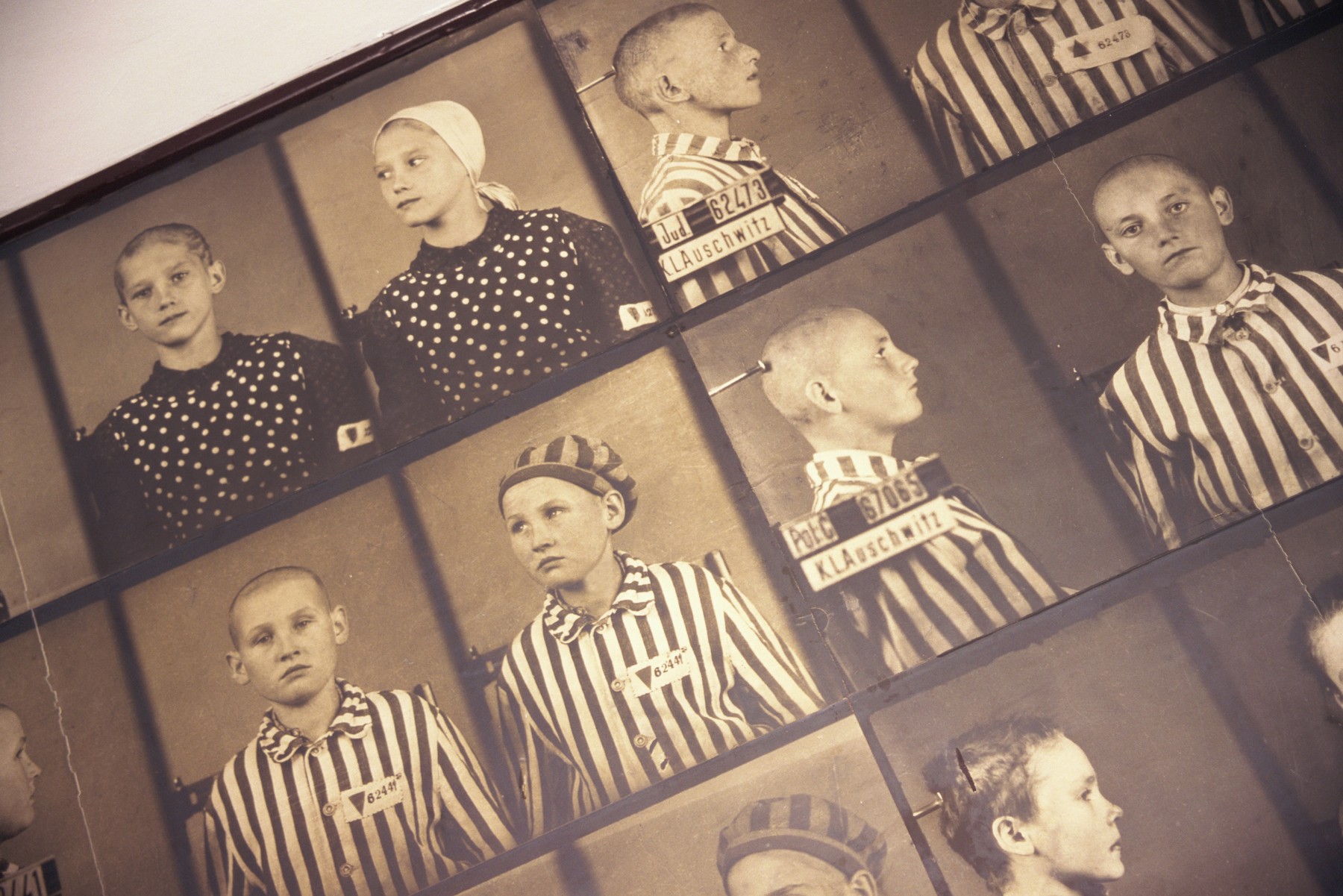 Fotografije žrtev iz Auschwitza