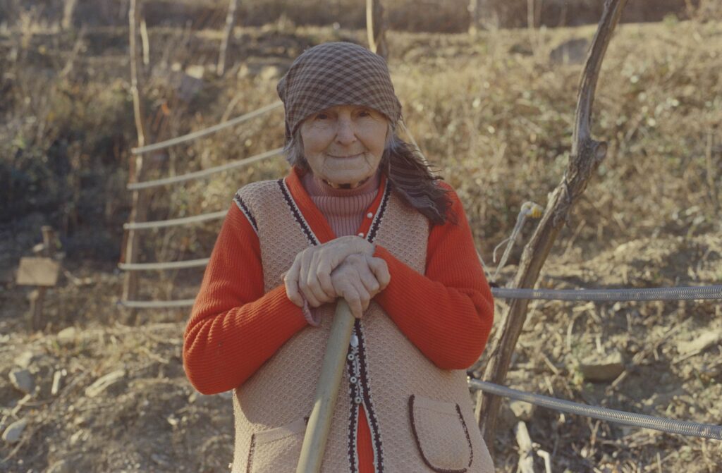 Prizor iz filma Navadna hruška