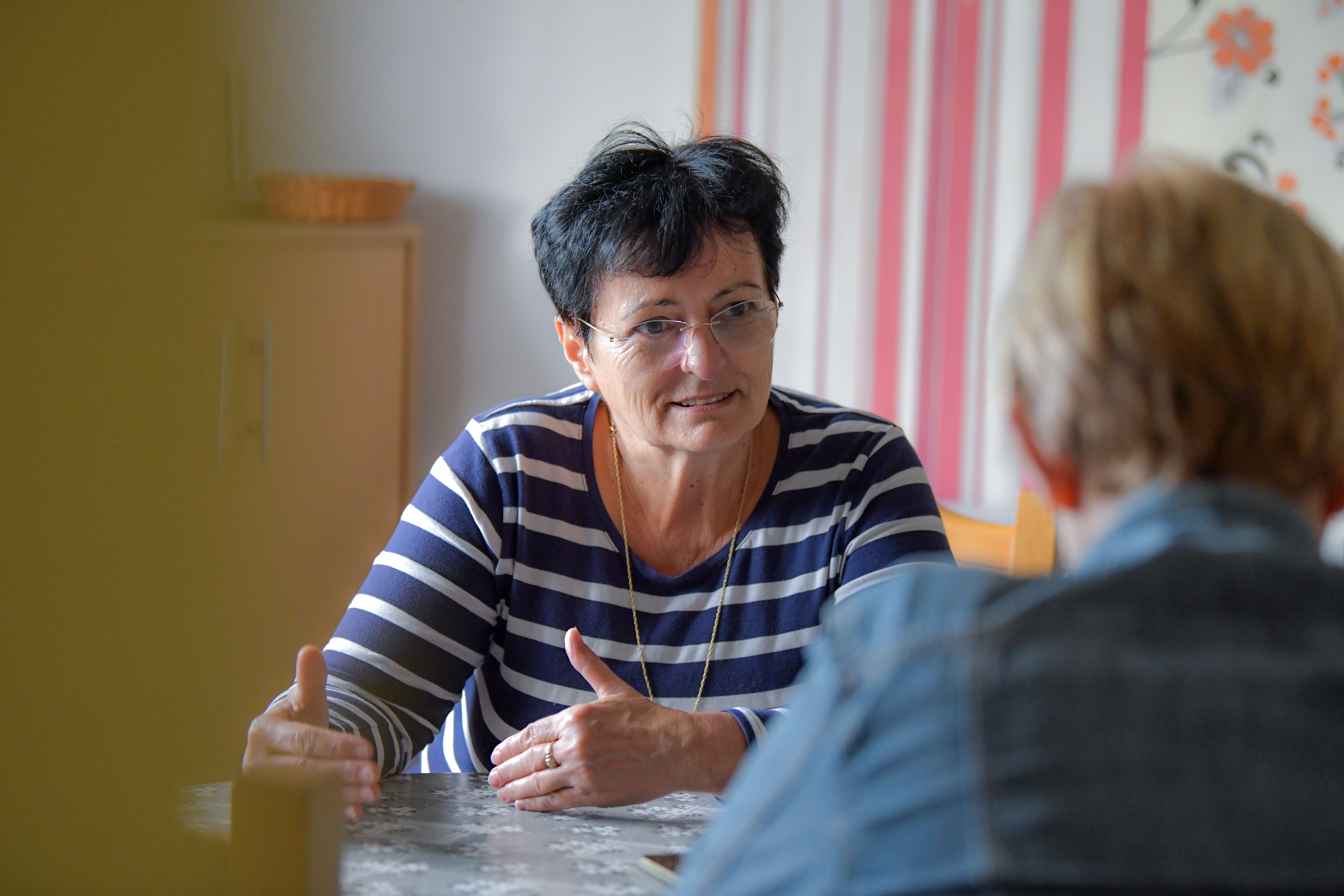 Marijana Fodor, Porabje