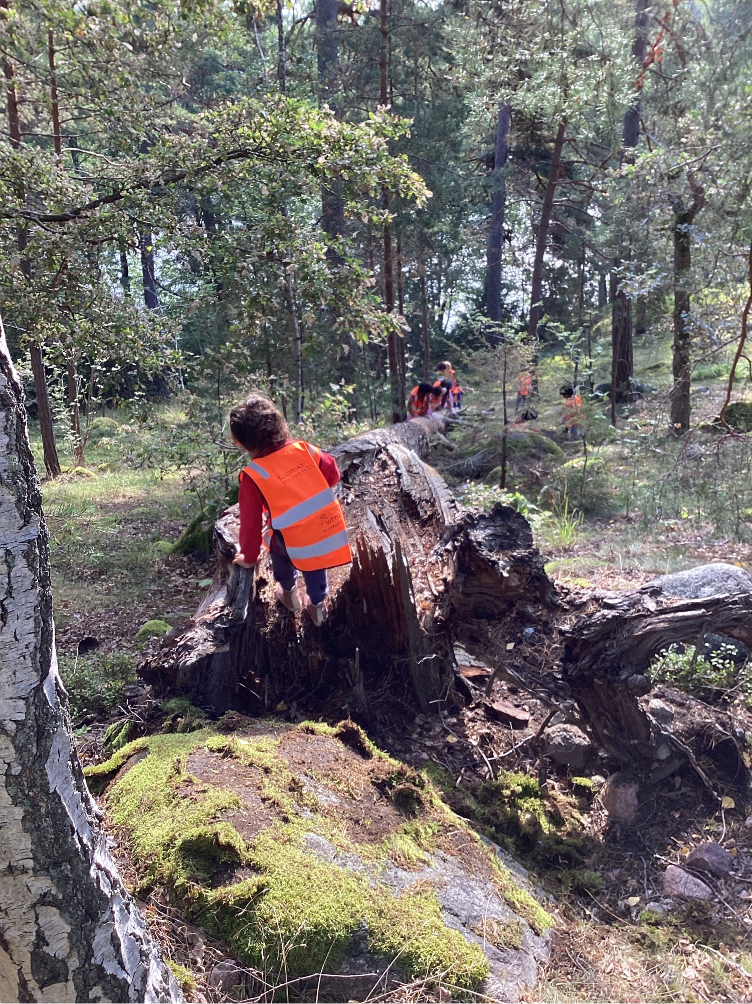 Otroci v švedskem vrtcu