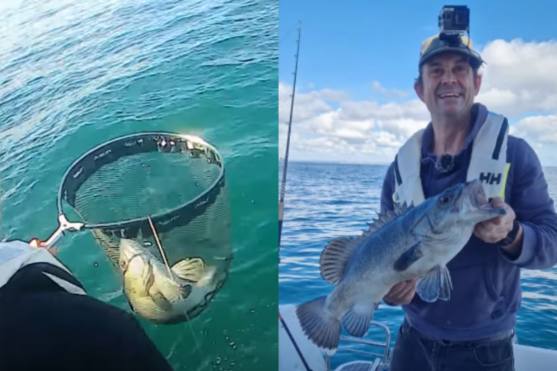 Britanski ribiči so naleteli na redko globinsko kirnjo