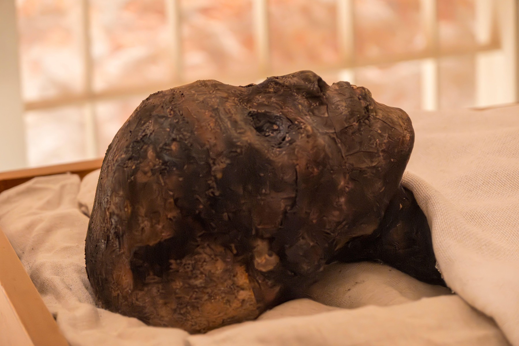 Tutankamonova mumija v kairskem muzeju