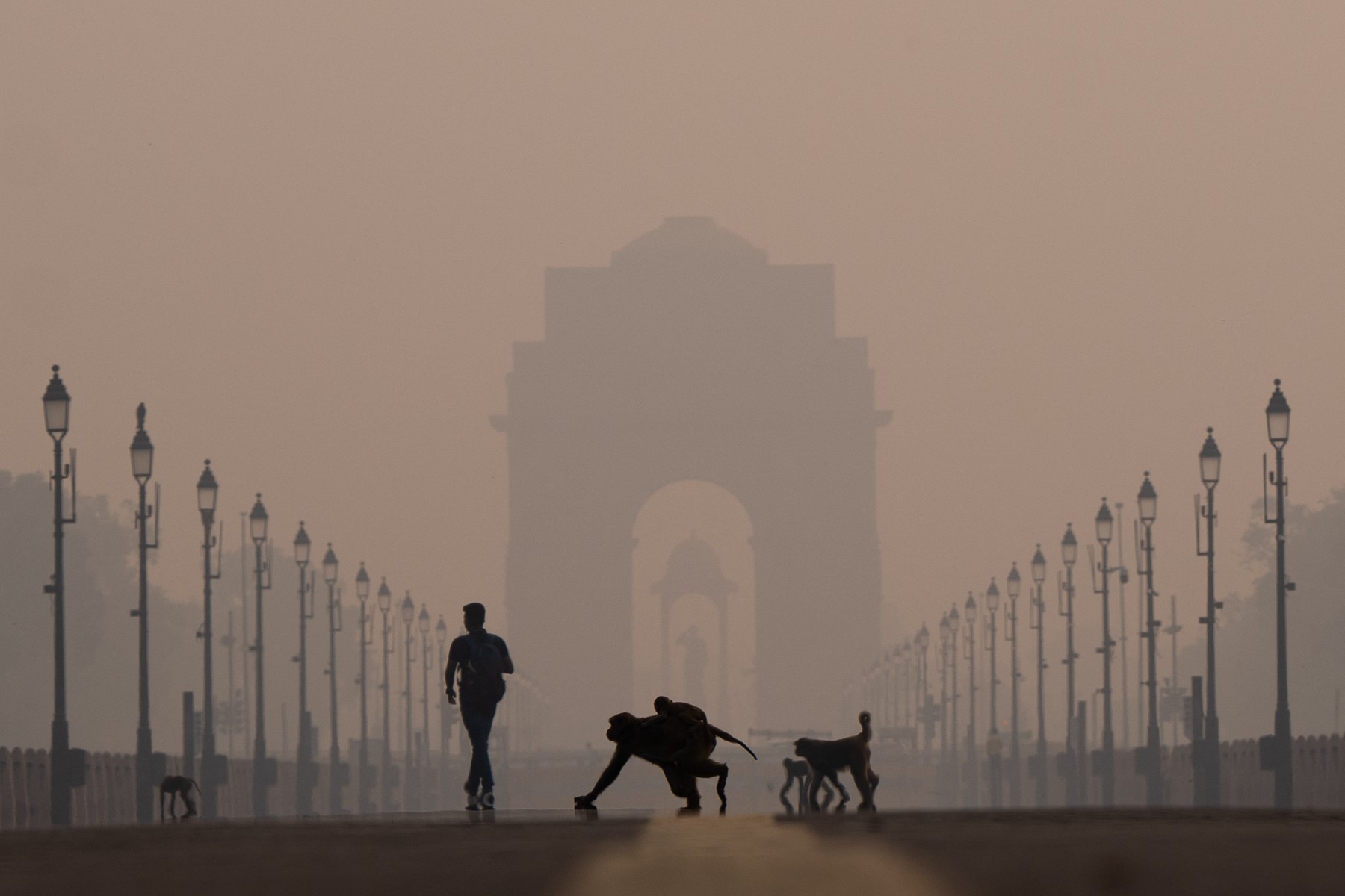 New Delhi