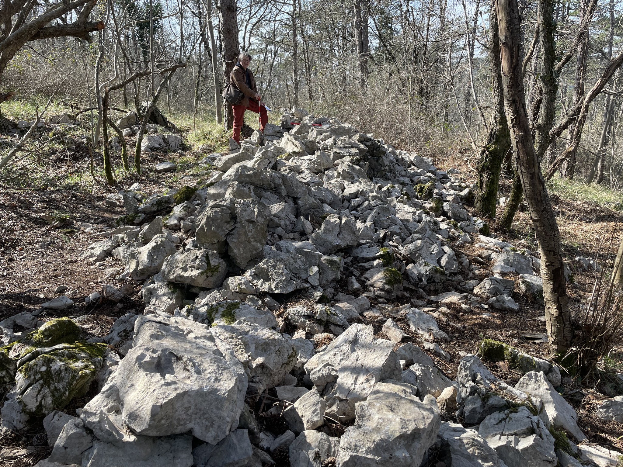 Kras 4 Foto Dimitrij Mlekuž arhiv