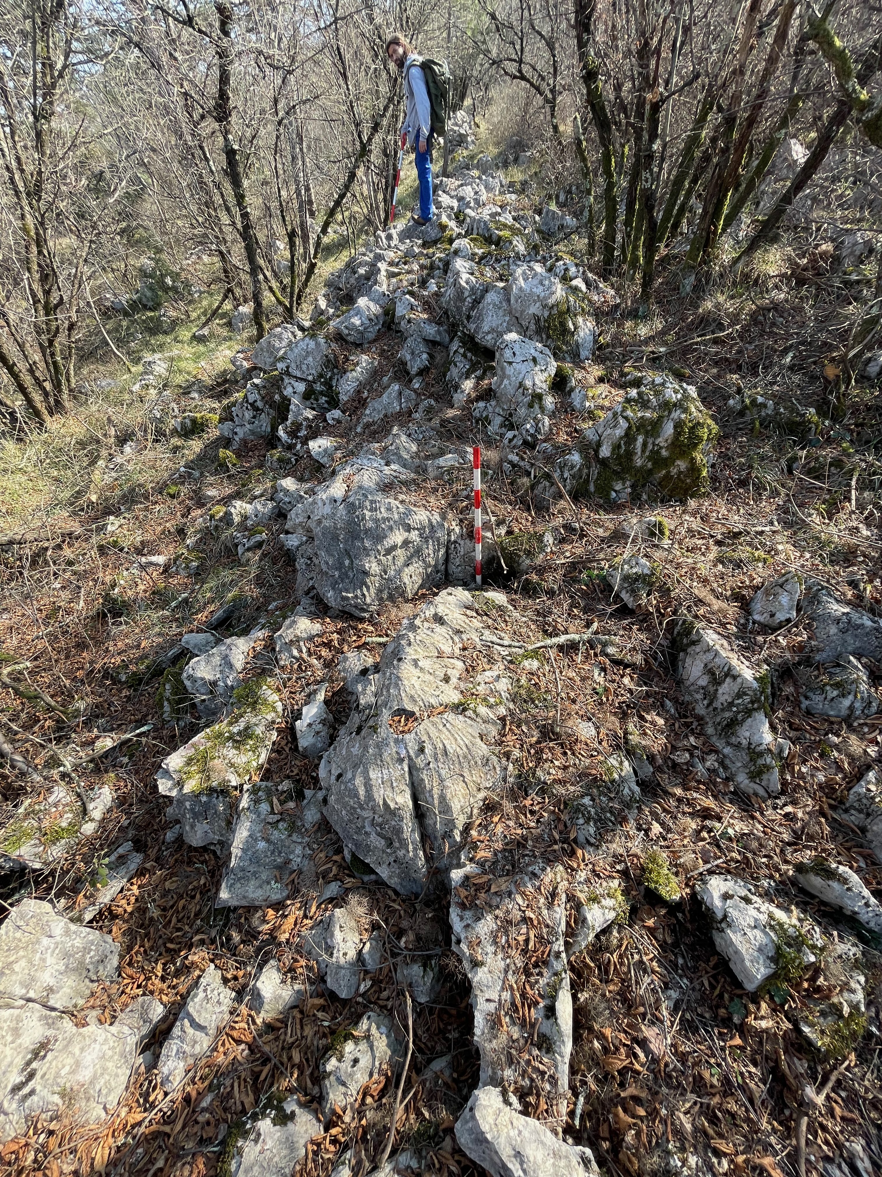 arheološko odkritje na Krasu, prazgodovinske kamnite strukture, zidovi za skupinski lov
