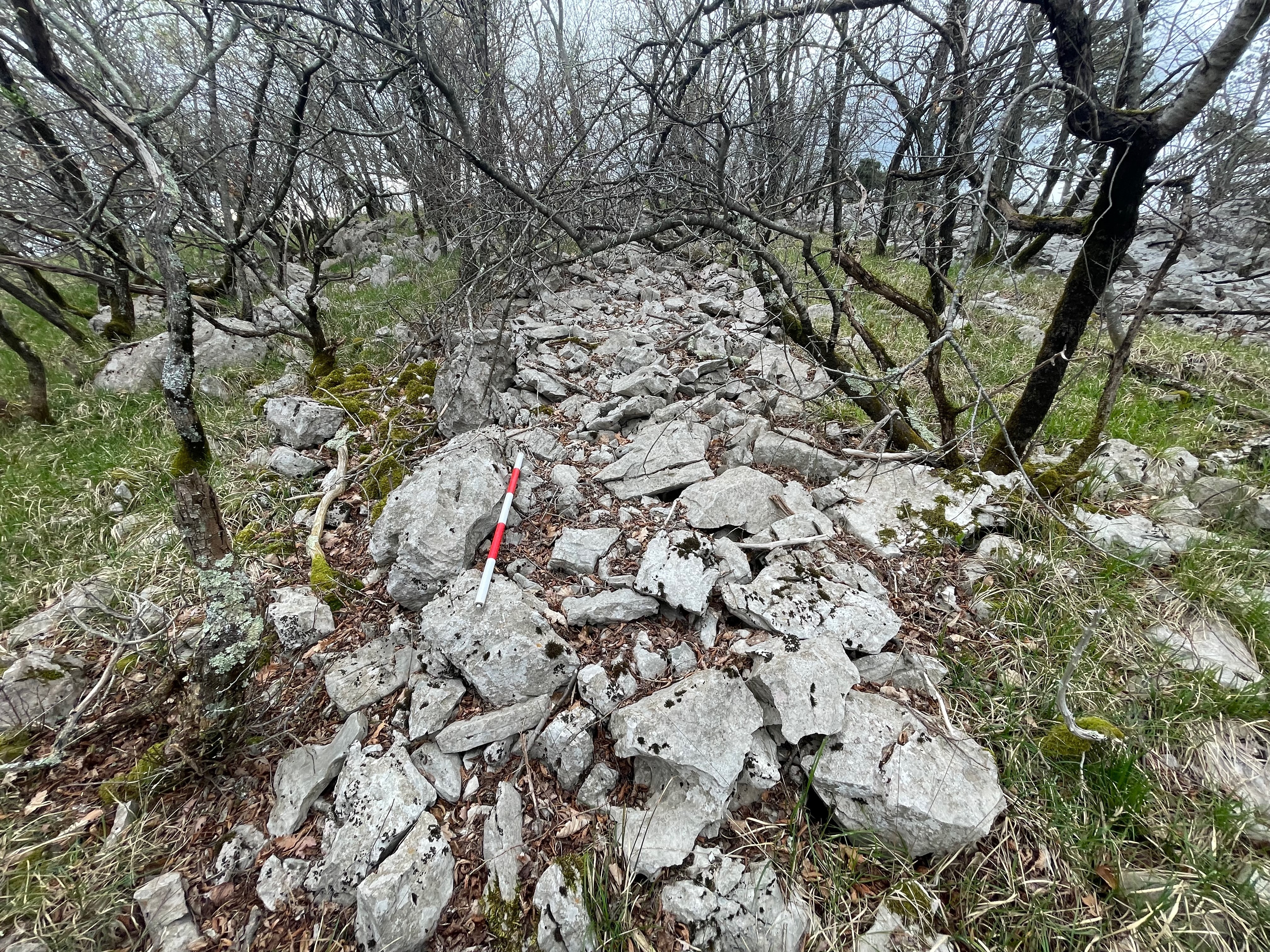 prazgodovinske kamnite strukture na Krasu, namenjene lovu