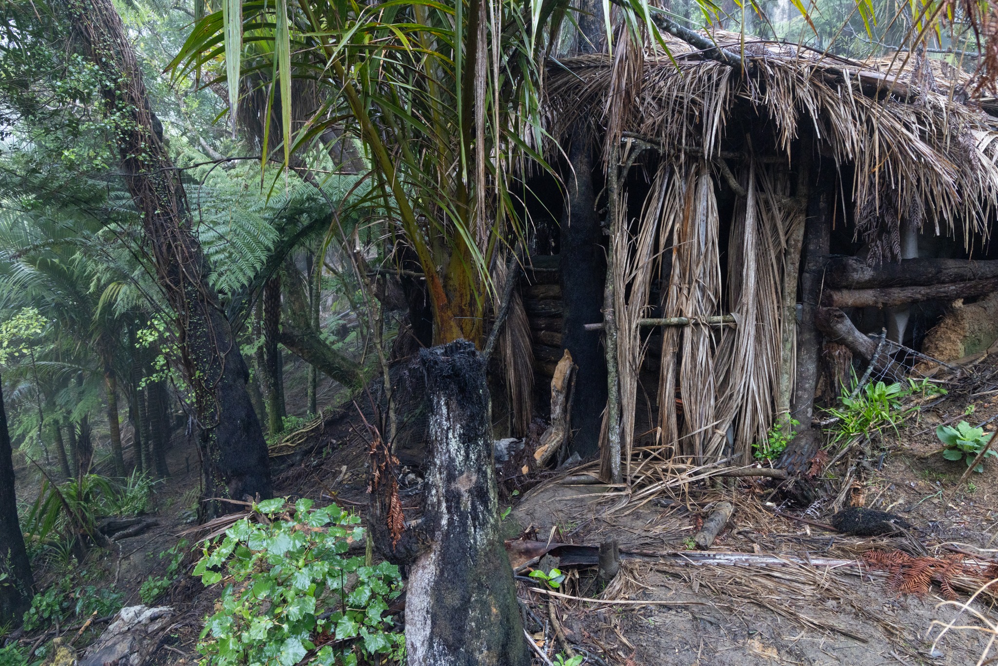 Skrivališče Toma Phillipsa
