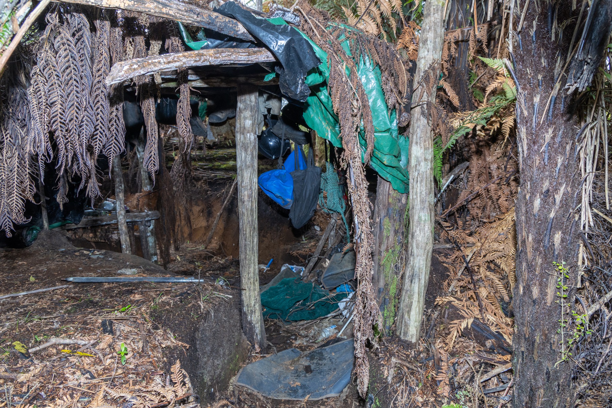 Skrivališče Toma Phillipsa