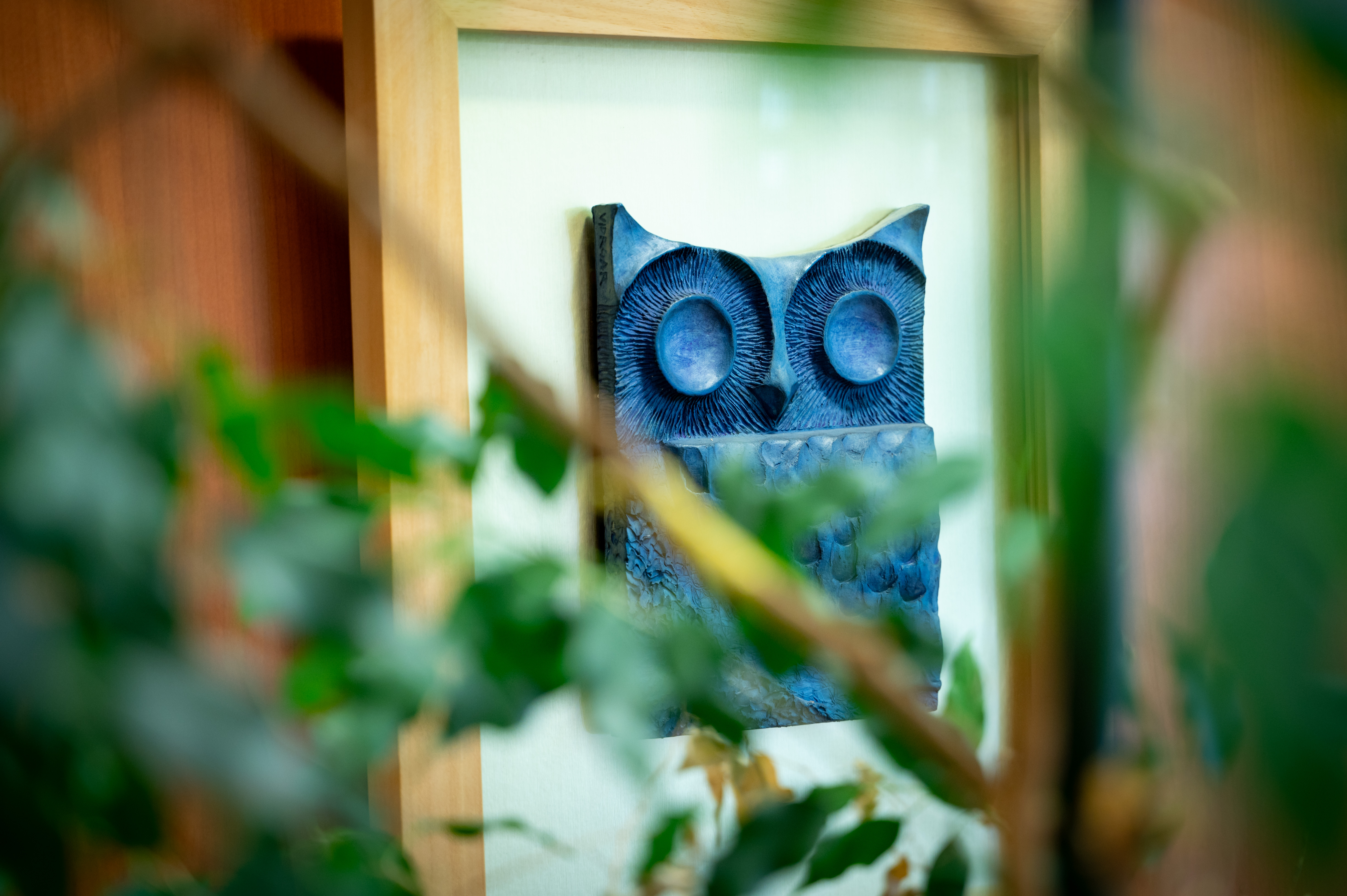 Slovenska obveščevalno-varnostna agencija Sova