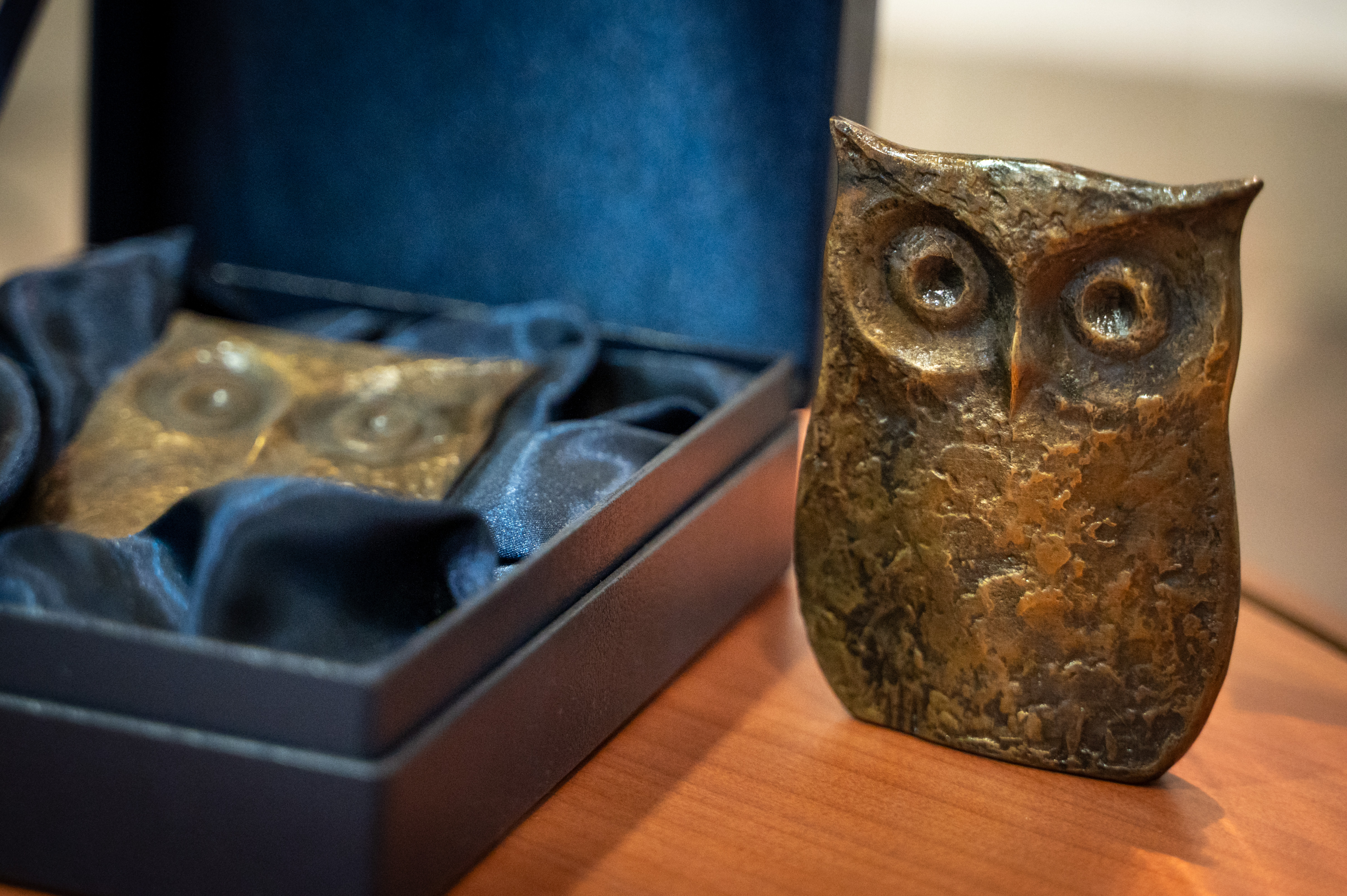 Slovenska obveščevalno-varnostna agencija Sova