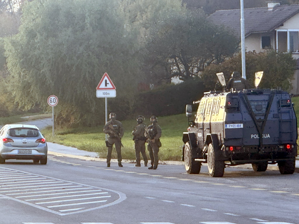 Policija v Novem mestu