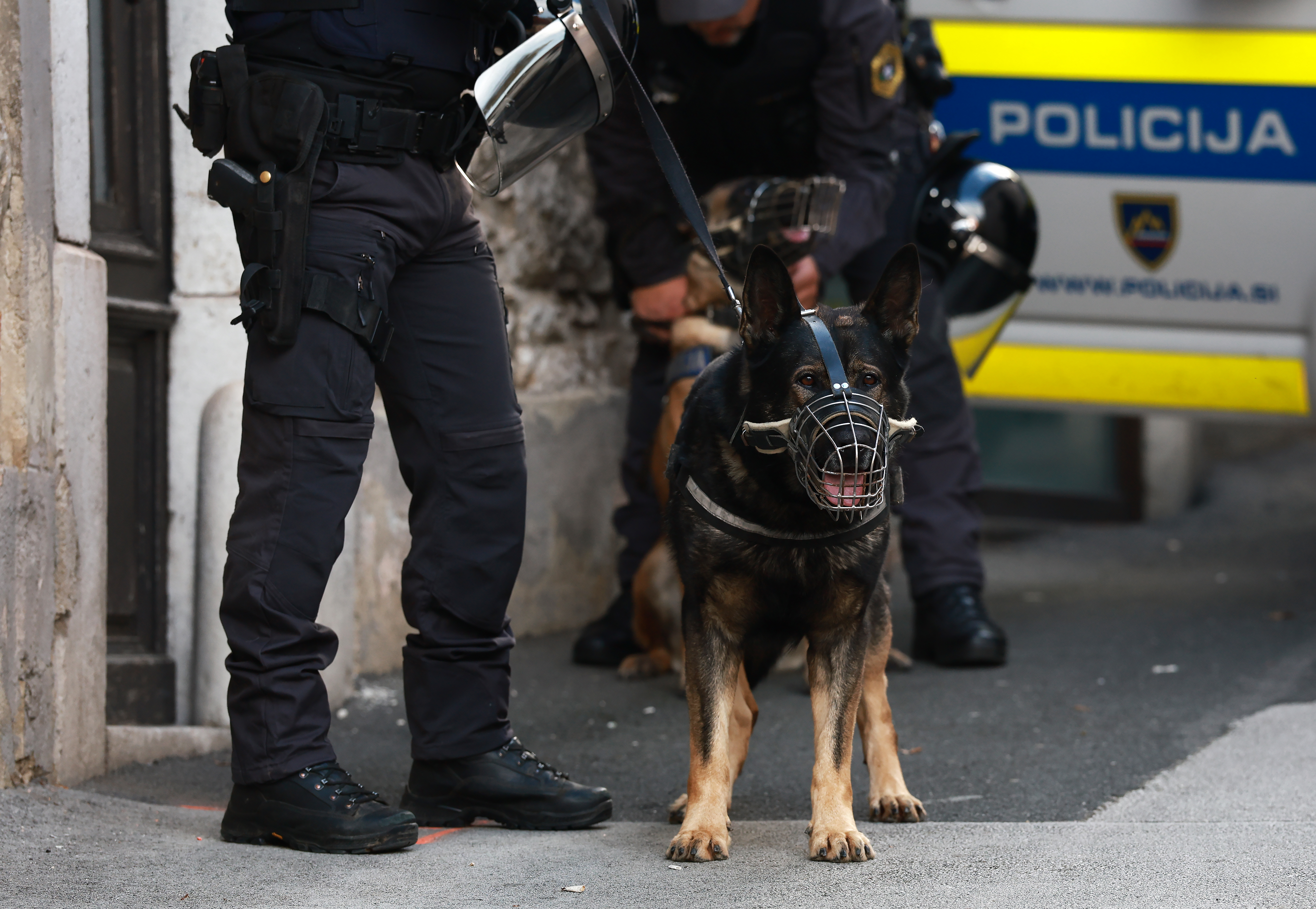 Protestni shod v Novem mestu