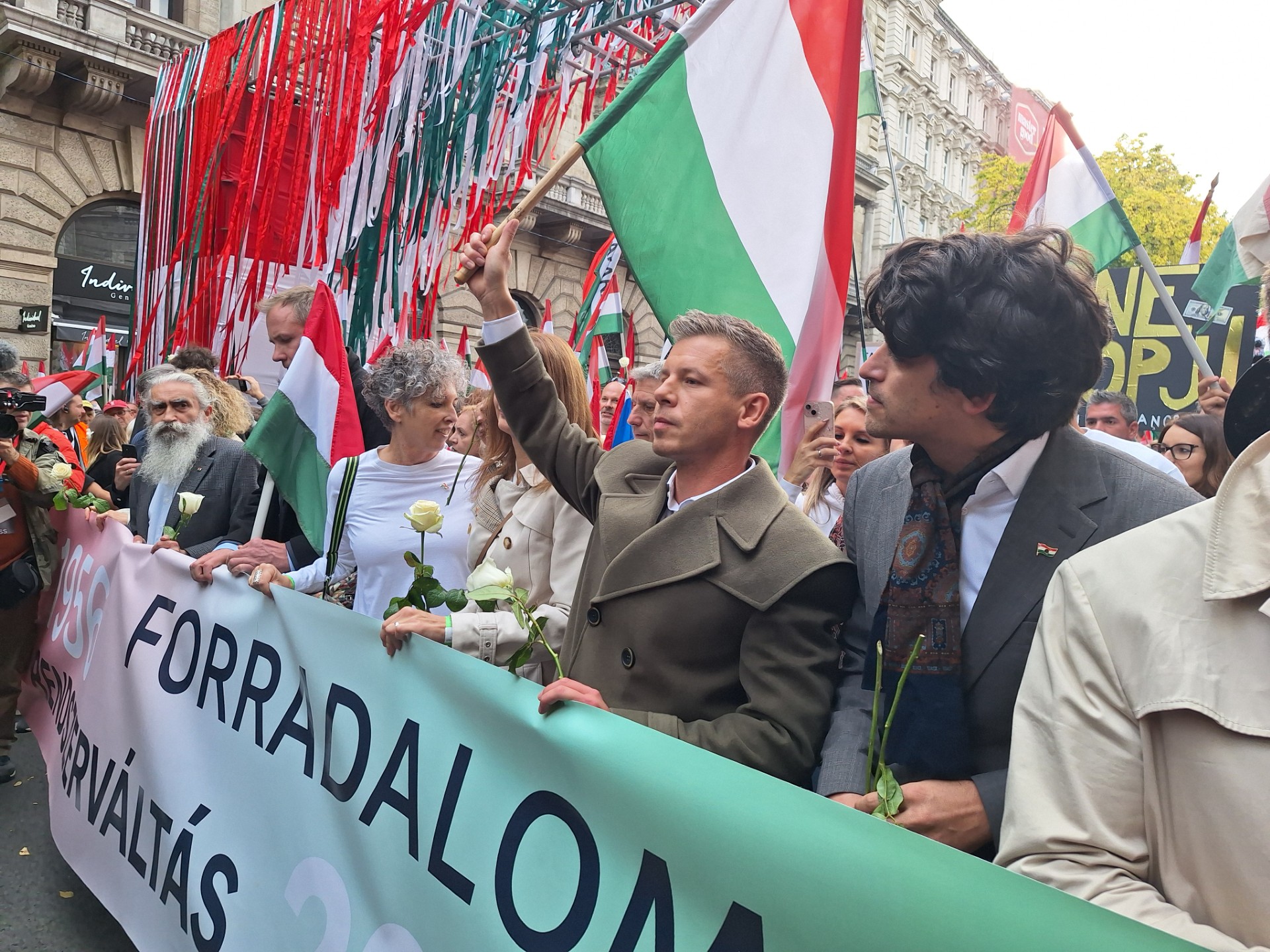 Peter Magyar, Madžarska