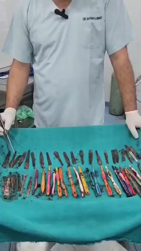 Indijec pojedel zobne ščetke