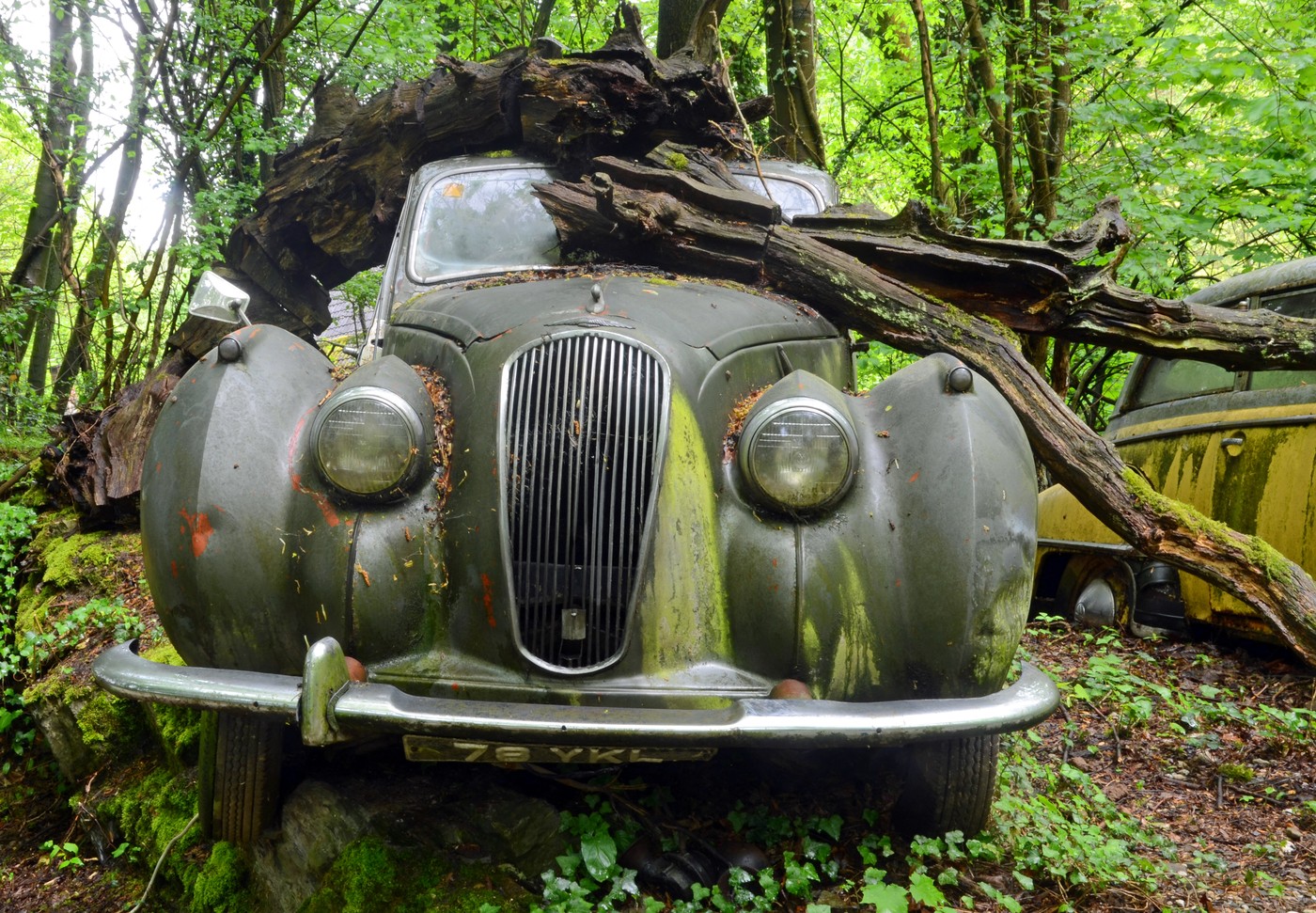 Michael Froehlich avtopark