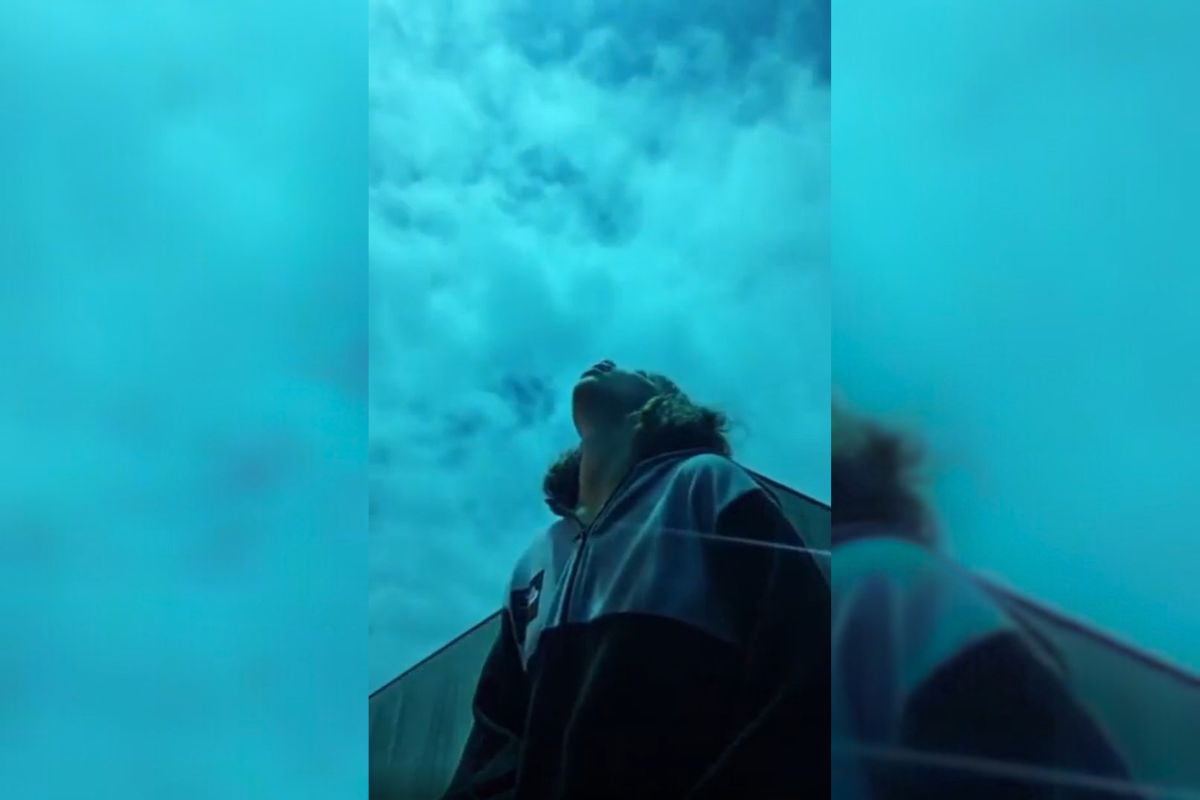 V objektiv ujela meteor