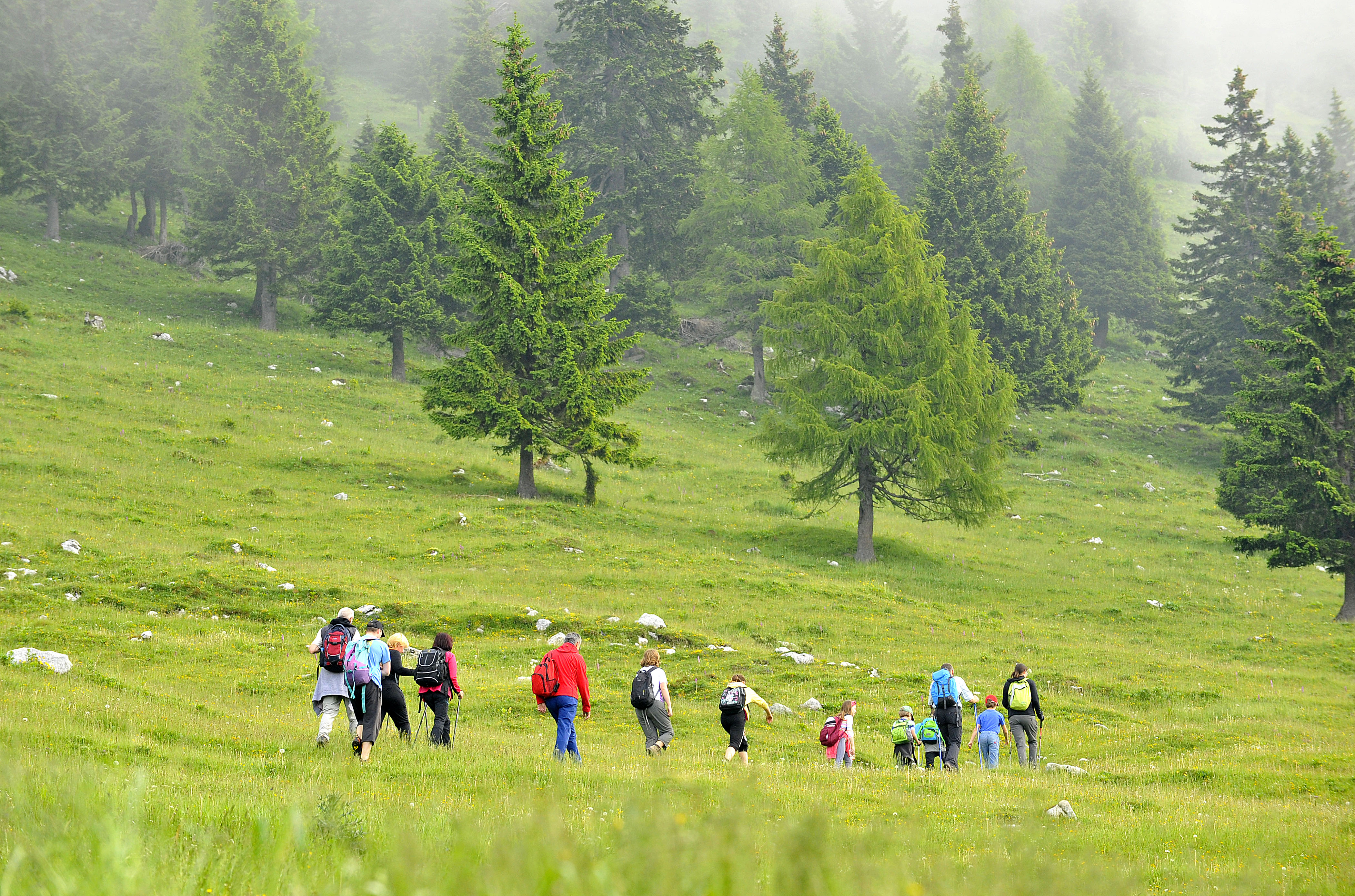 Slovenija, Ambroz pod Krvavcem, Ljudje gredo z nahrbtniki po travniku na vrh Krvavca. Ljudje, rekreacija, hoja, planinci, planinec, sportFoto: Ziga Zivulovic jr./Bobo