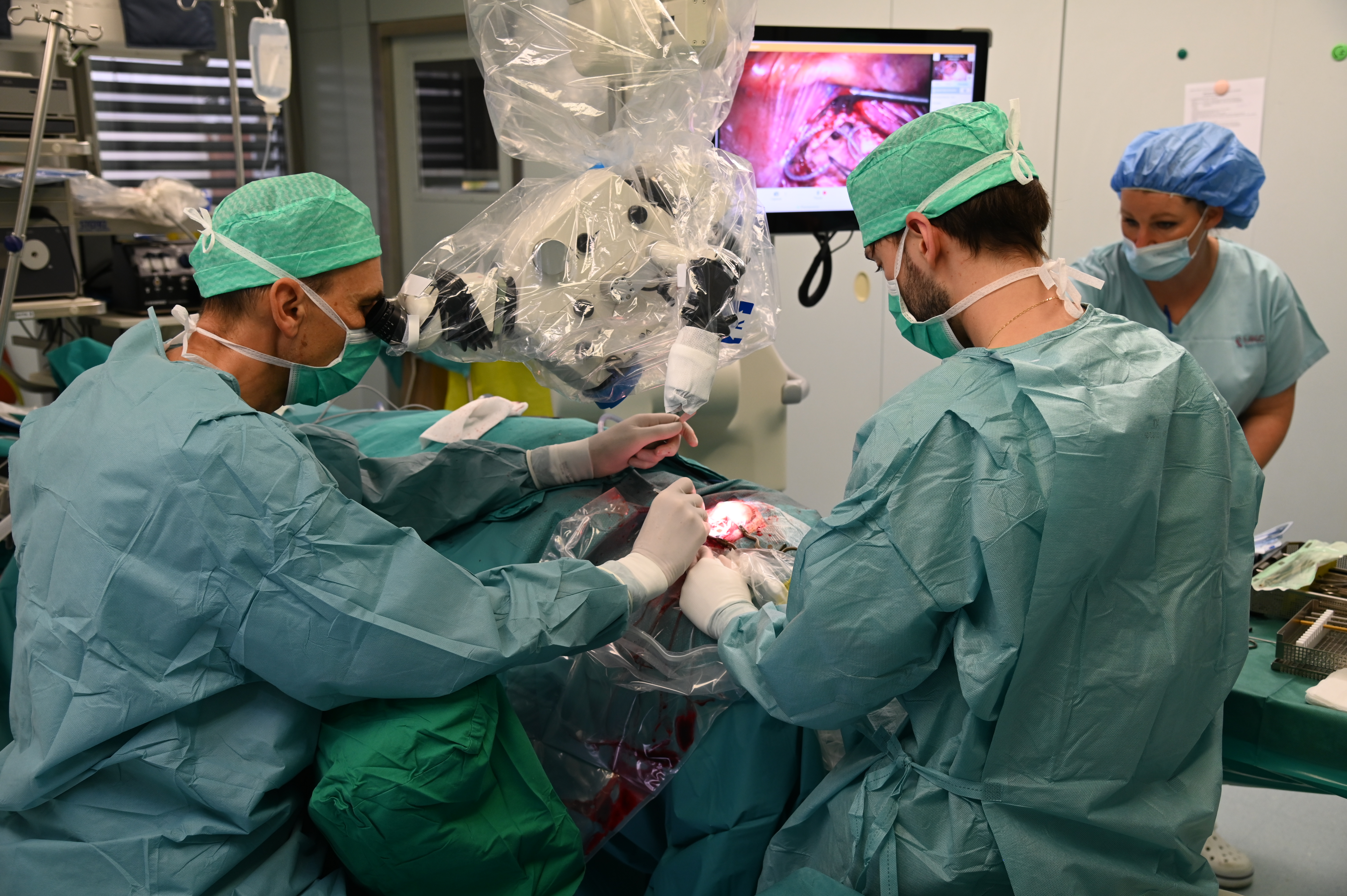 vsadek, gluhi, operacija