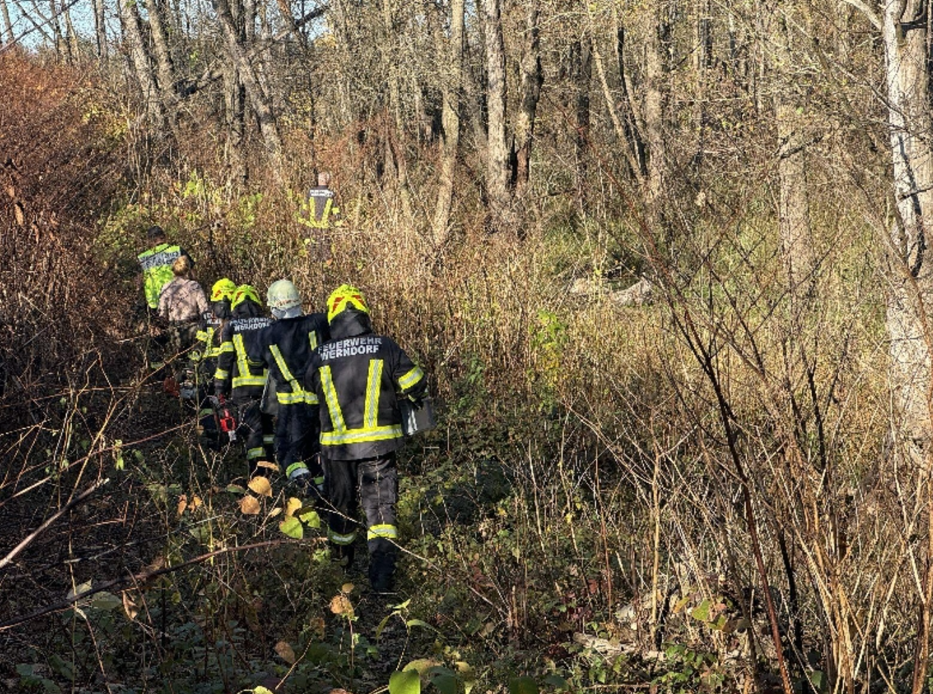 Reševalna akcija nasedlega konja