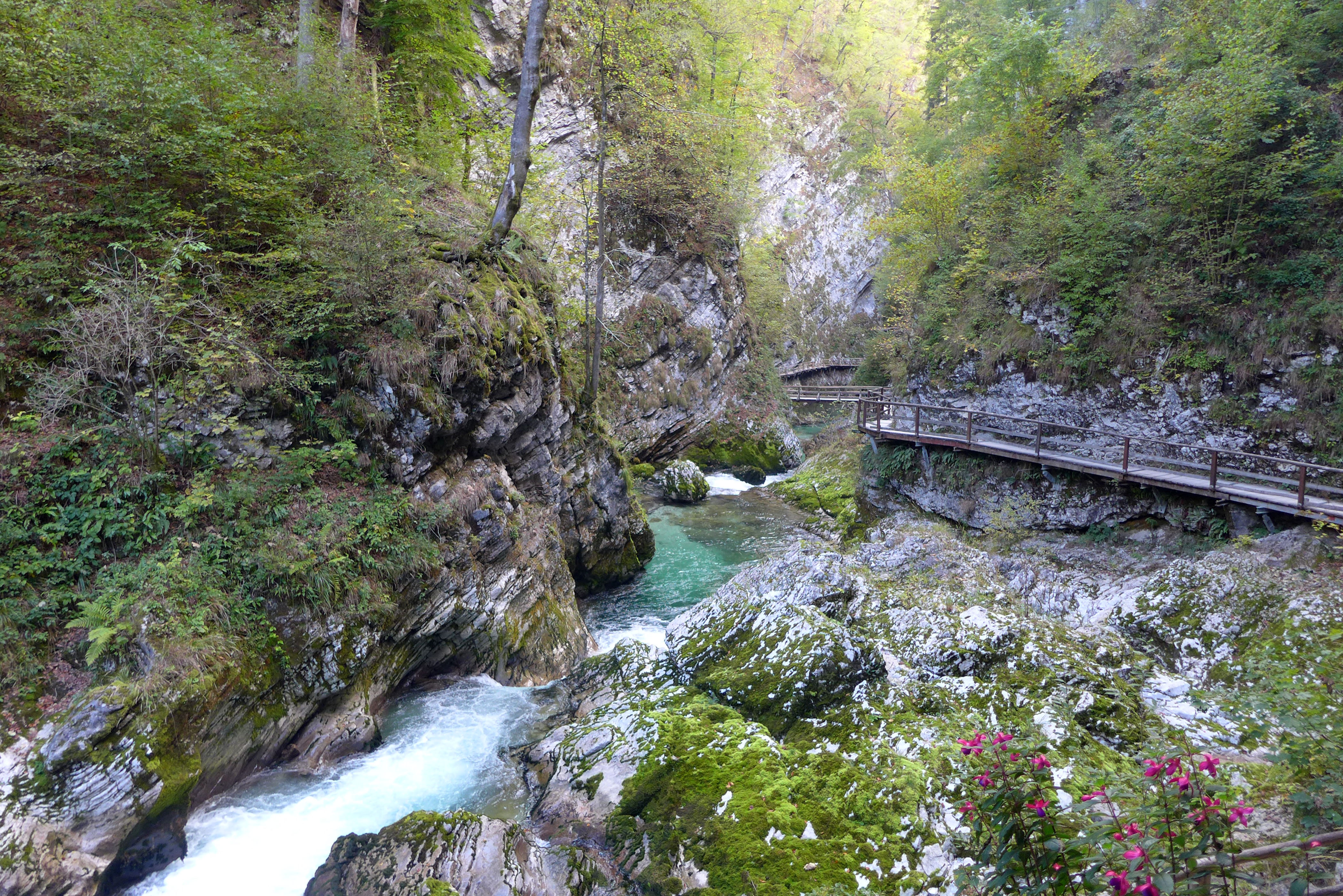 Slovenija, Bled, 18.10.2021, 18. oktober 2021 Blejski Vintgar, turistična destinacija, narava, reka Radovna, turizem, pešpot, triglavski narodni parkFoto: Borut Peršolja/Bobo