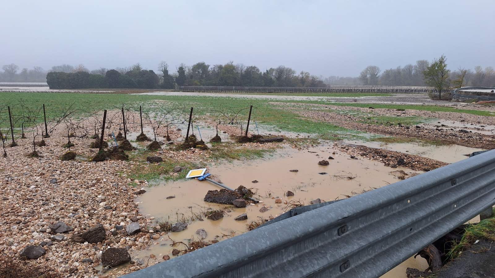 Poplaveljeno cestišče v Goriških brdih
