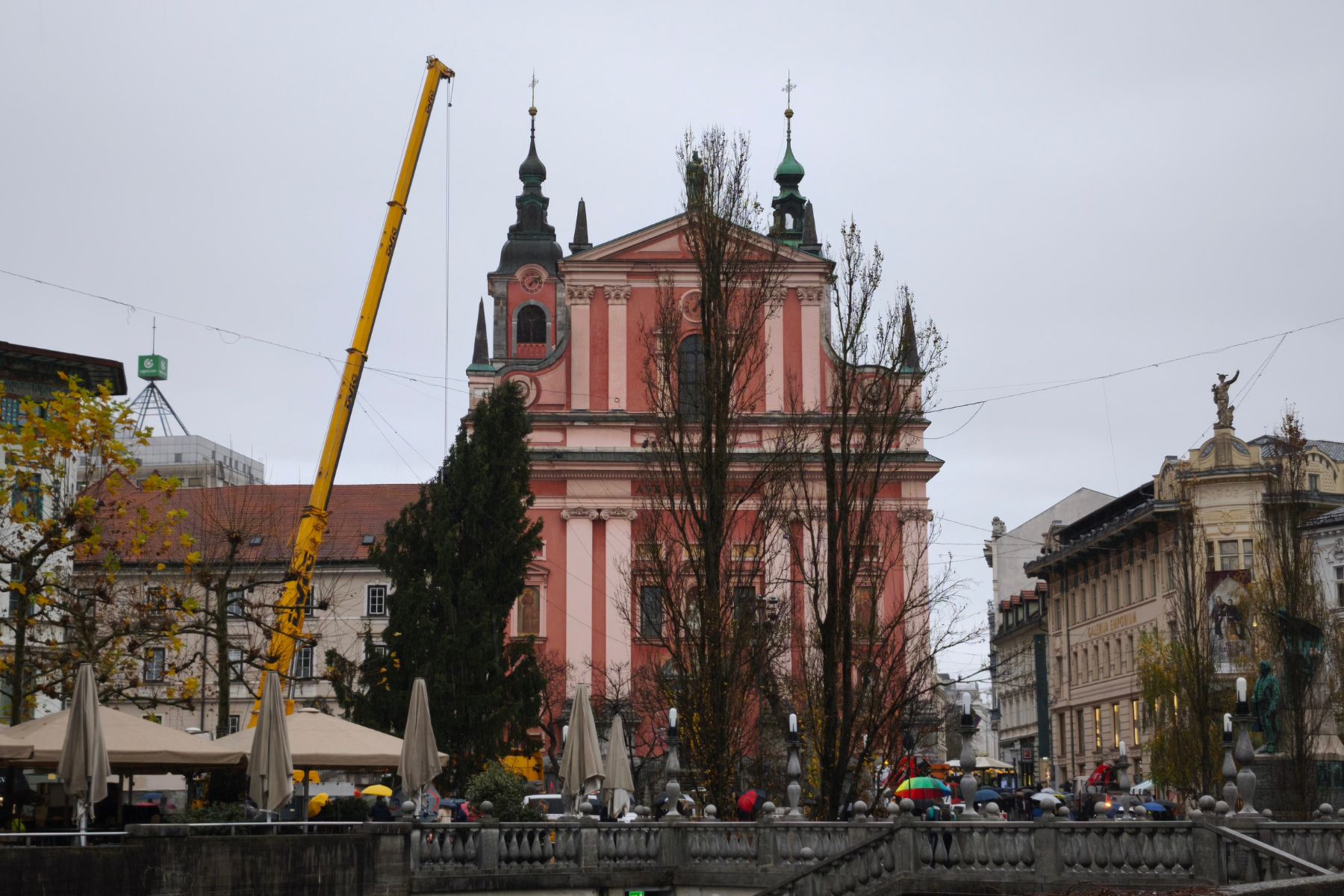 V Ljubljani so postavili božično drevo