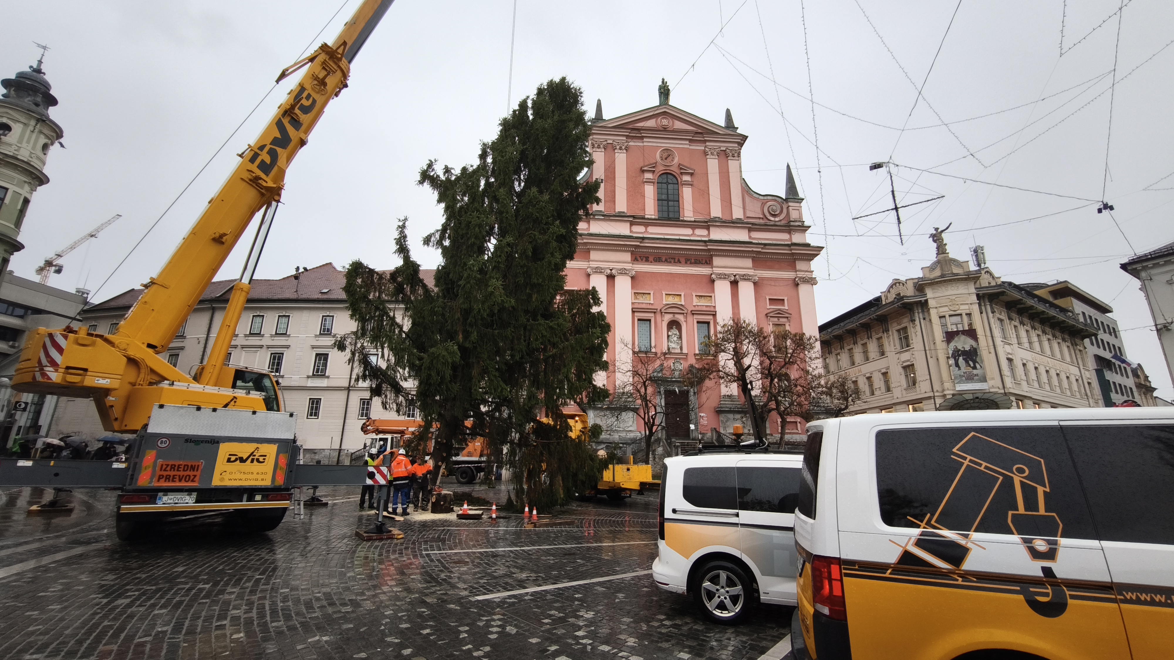 V Ljubljani so postavili božično drevo