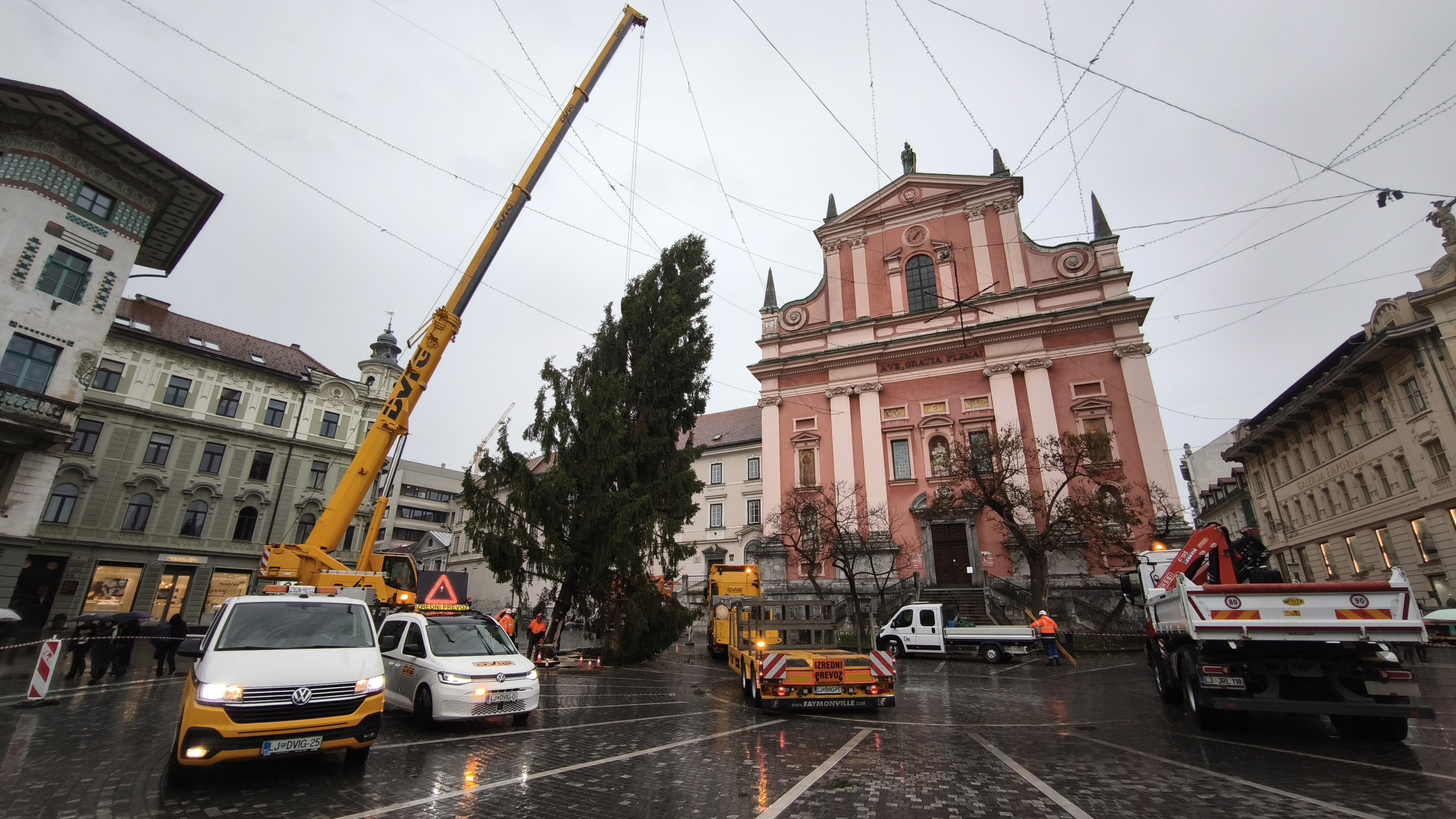 V Ljubljani so postavili božično drevo
