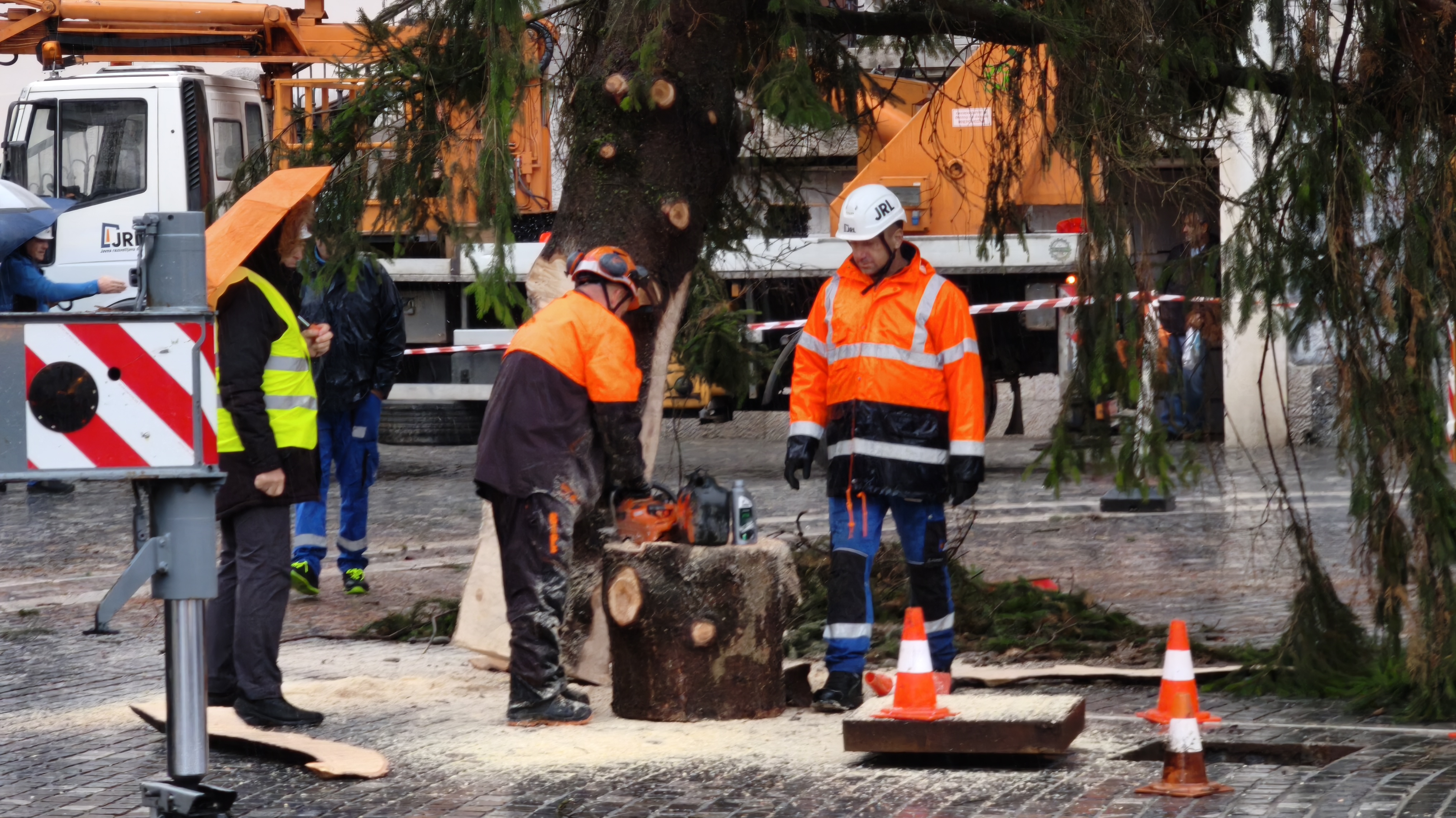 V Ljubljani so postavili božično drevo