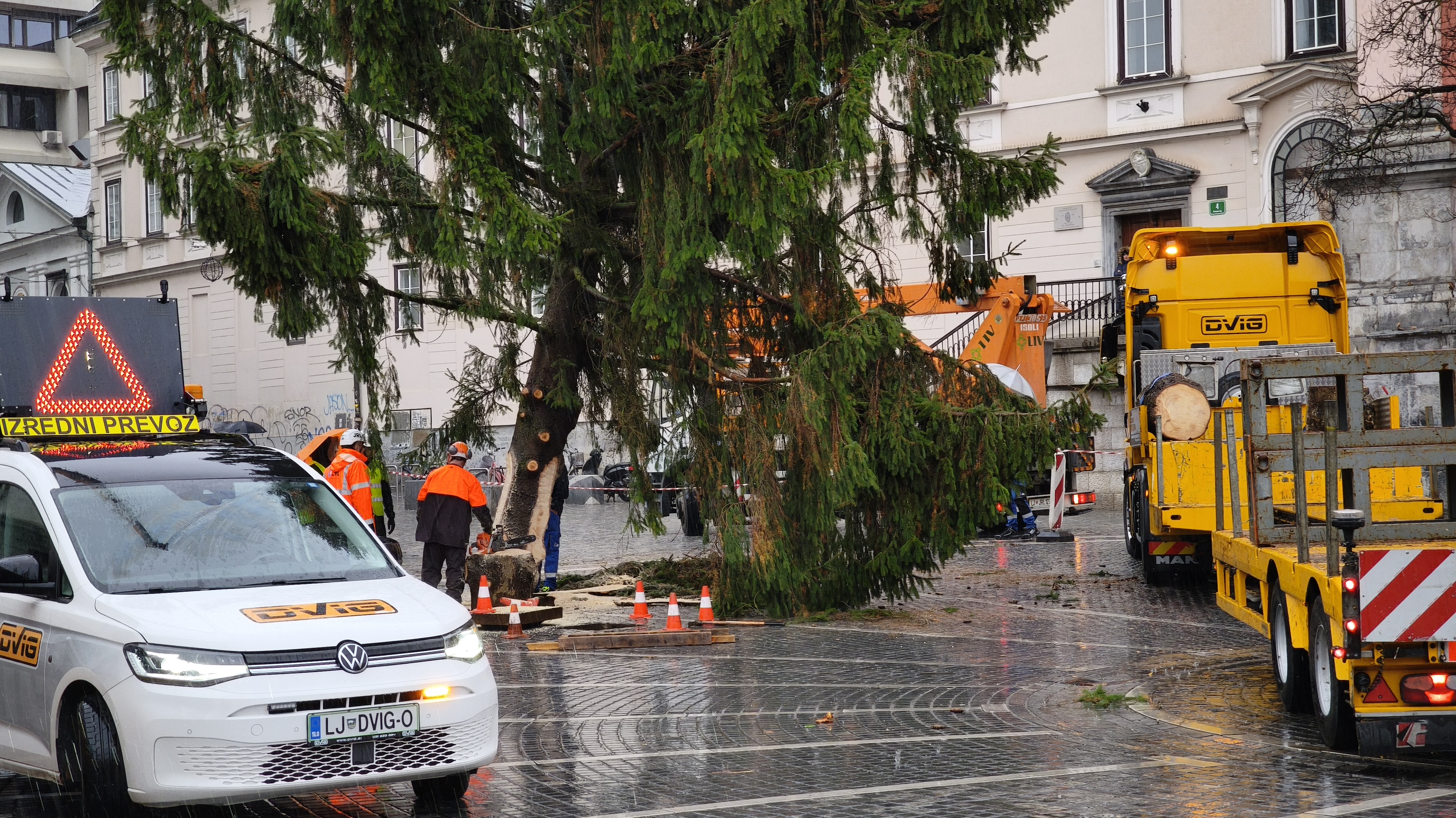 V Ljubljani so postavili božično drevo