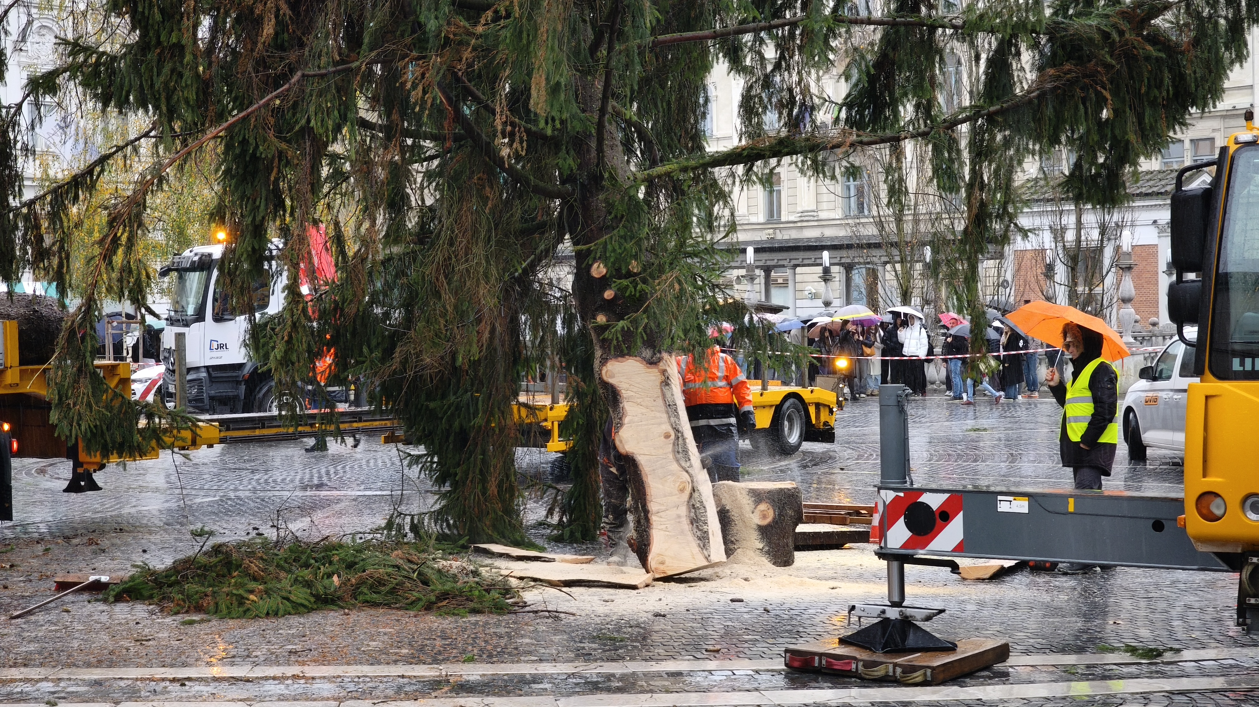 V Ljubljani so postavili božično drevo