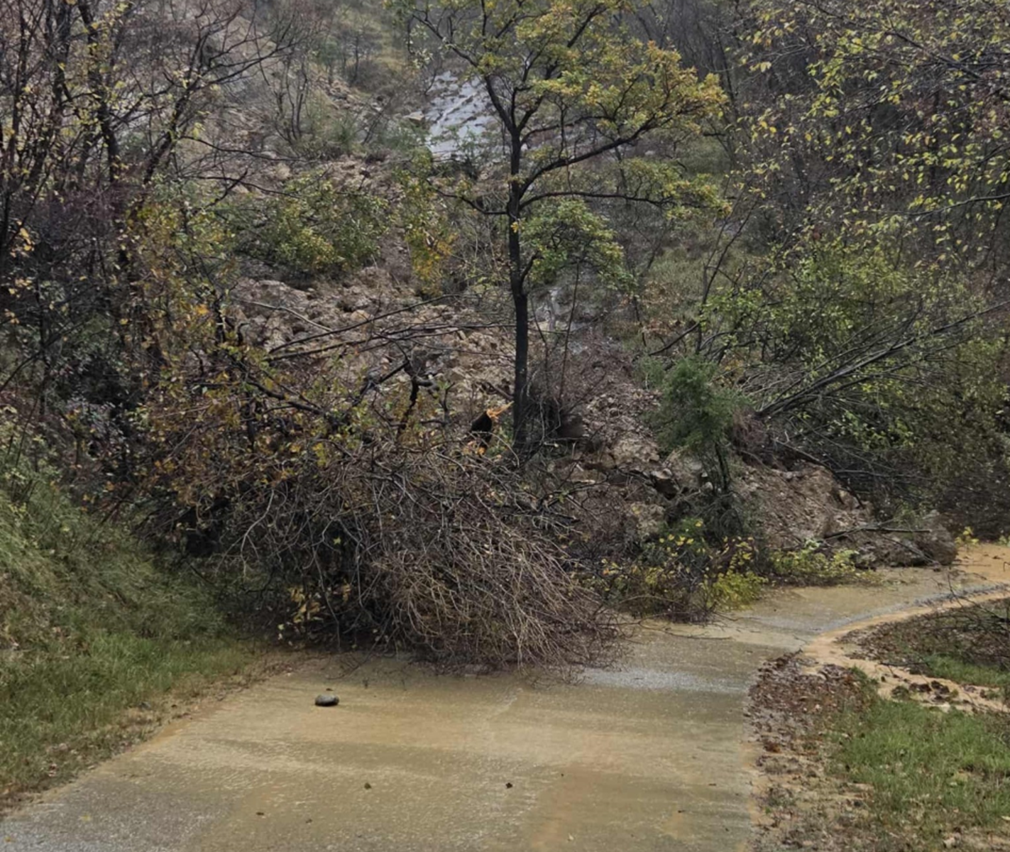 Kožbana ni več odrezana od sveta