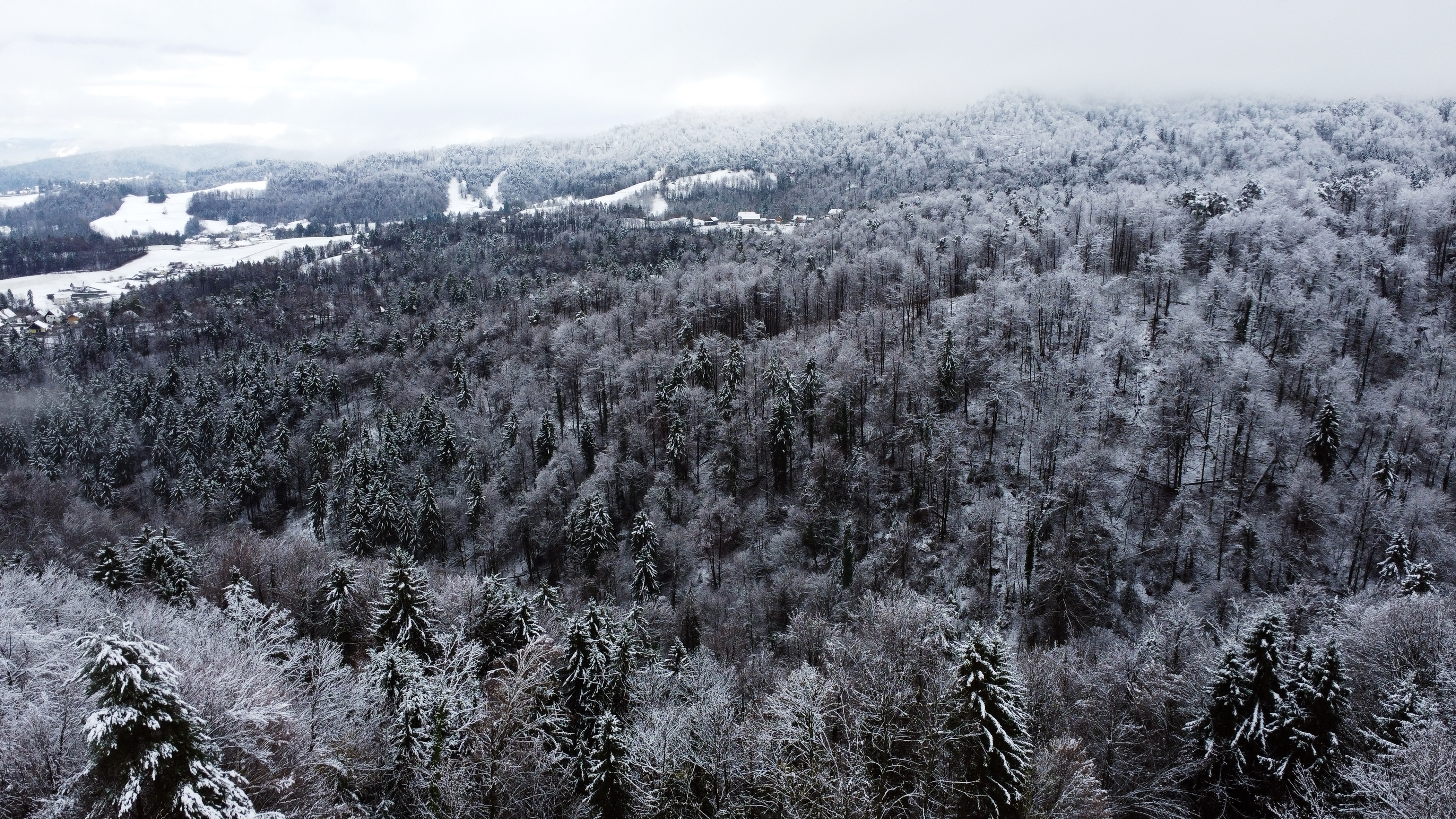 Slovenijo je pobelila snežna odeja