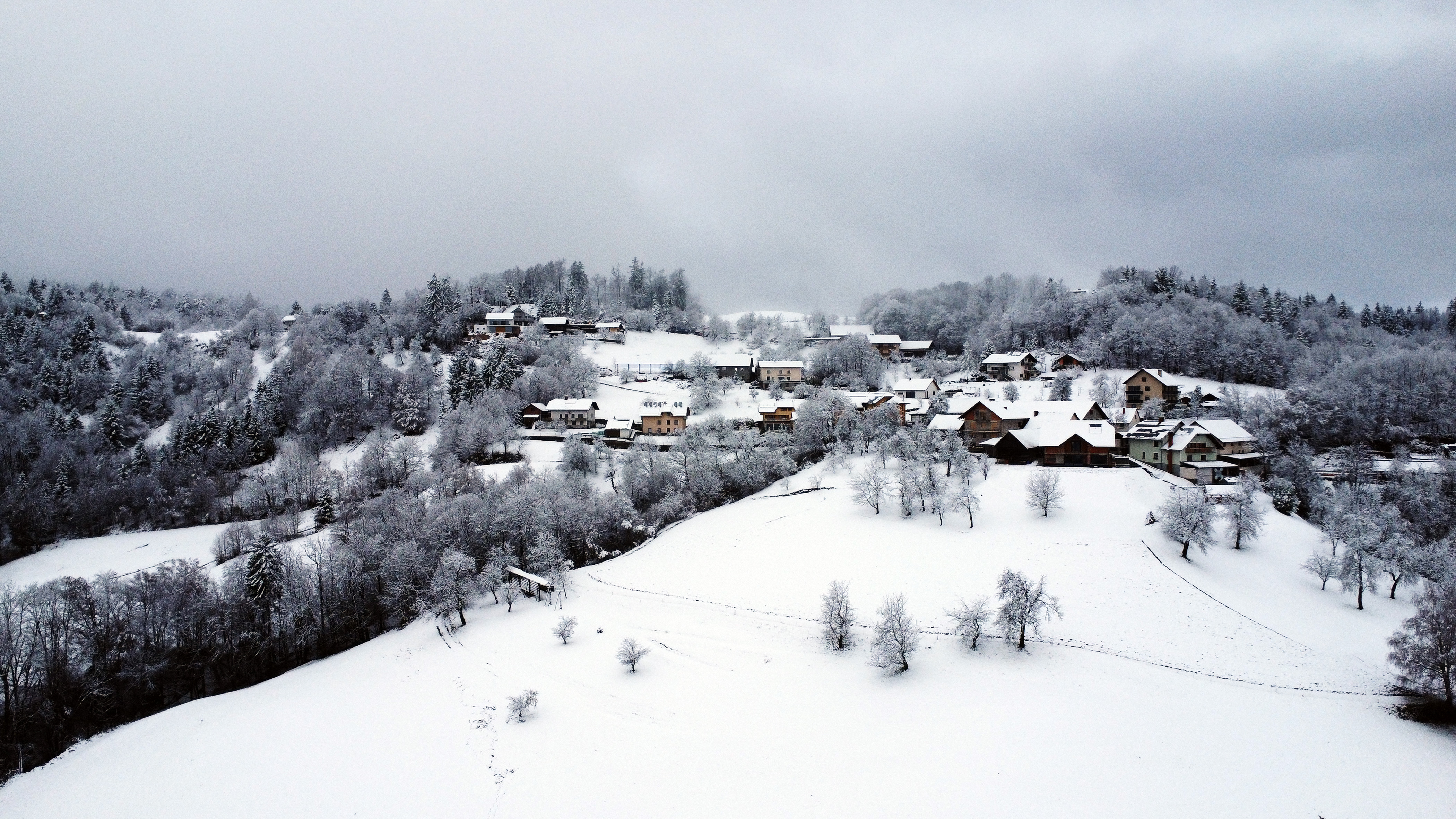 Slovenijo je pobelila snežna odeja