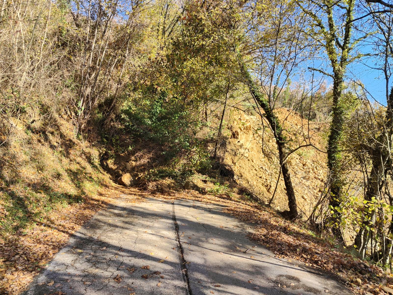 Plaz, ki je zaprl dostop do Kožbane