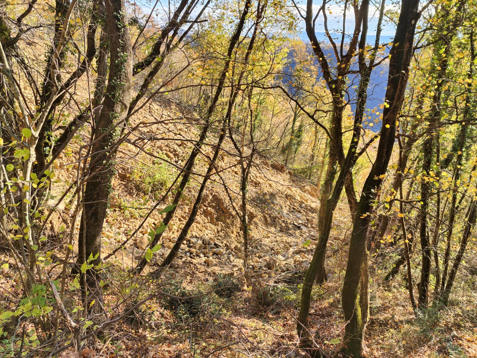 Veliki plaz pri Kožbani