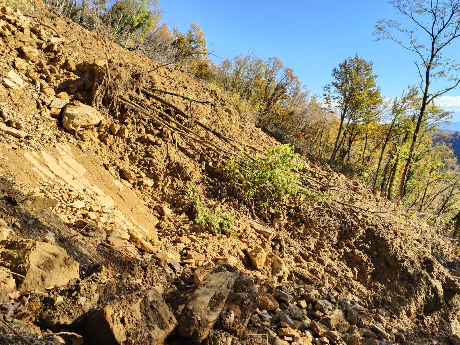 Veliki plaz pri Kožbani