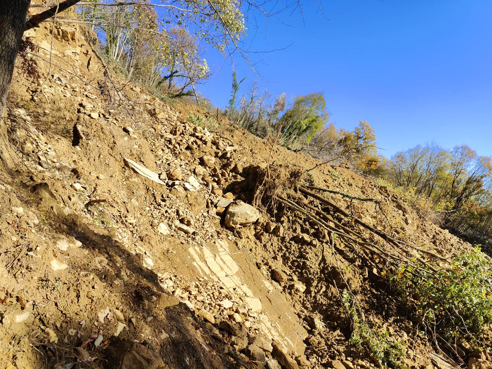 Veliki plaz pri Kožbani