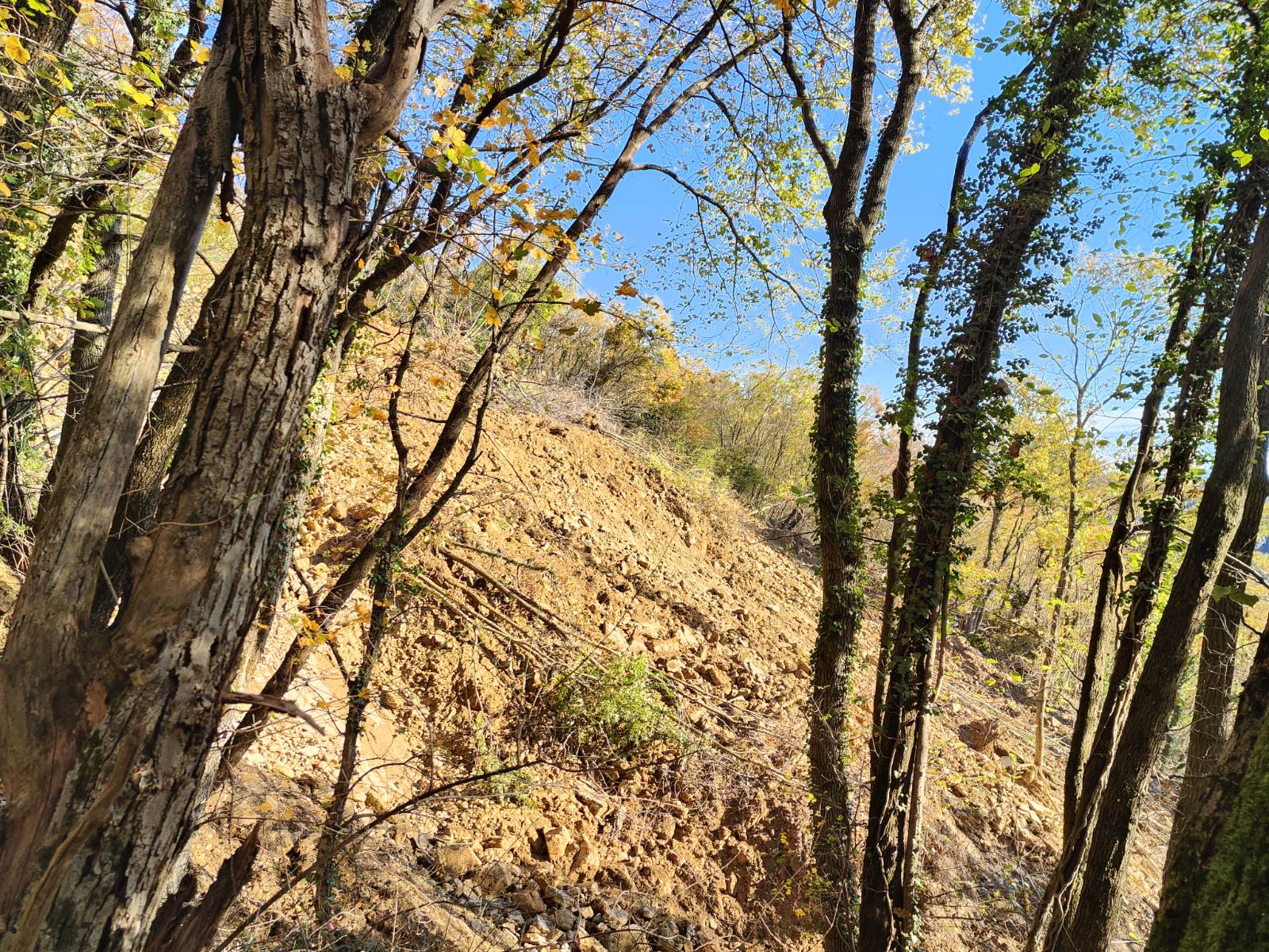 Veliki plaz pri Kožbani