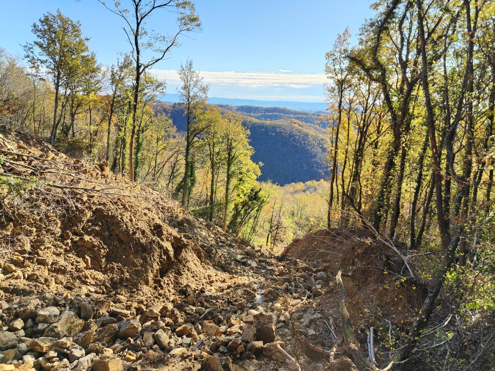 Veliki plaz pri Kožbani