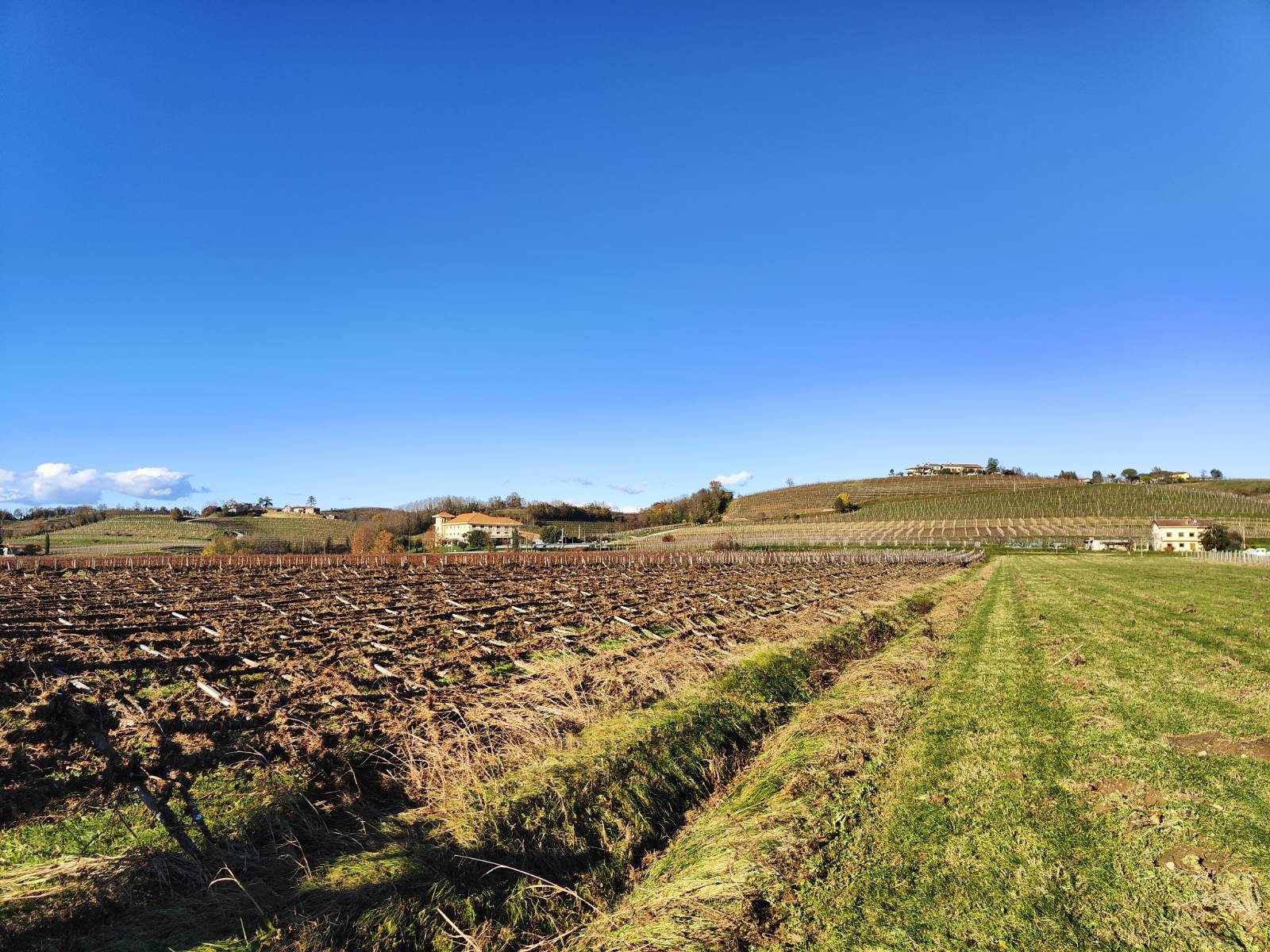 Trte, ki jih je uničila reka Reka