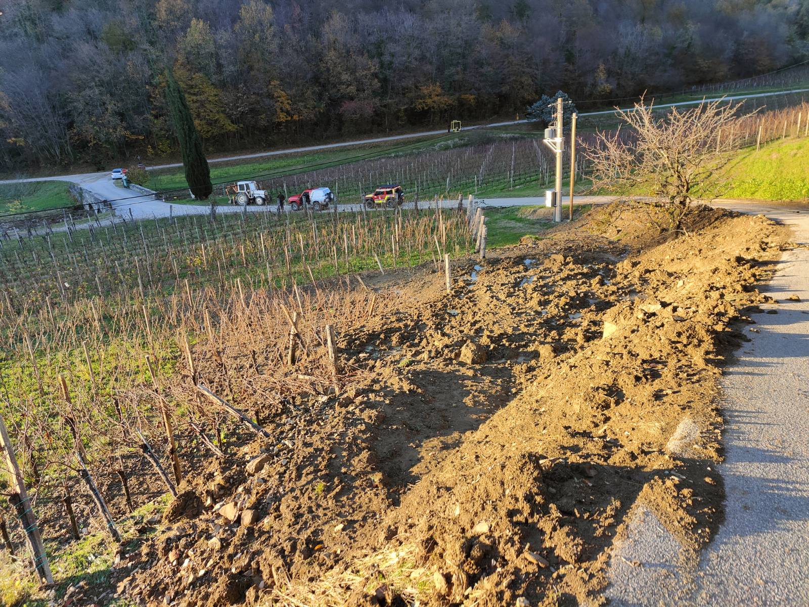 Posledice deževja na vinogradih v Goriških brdih