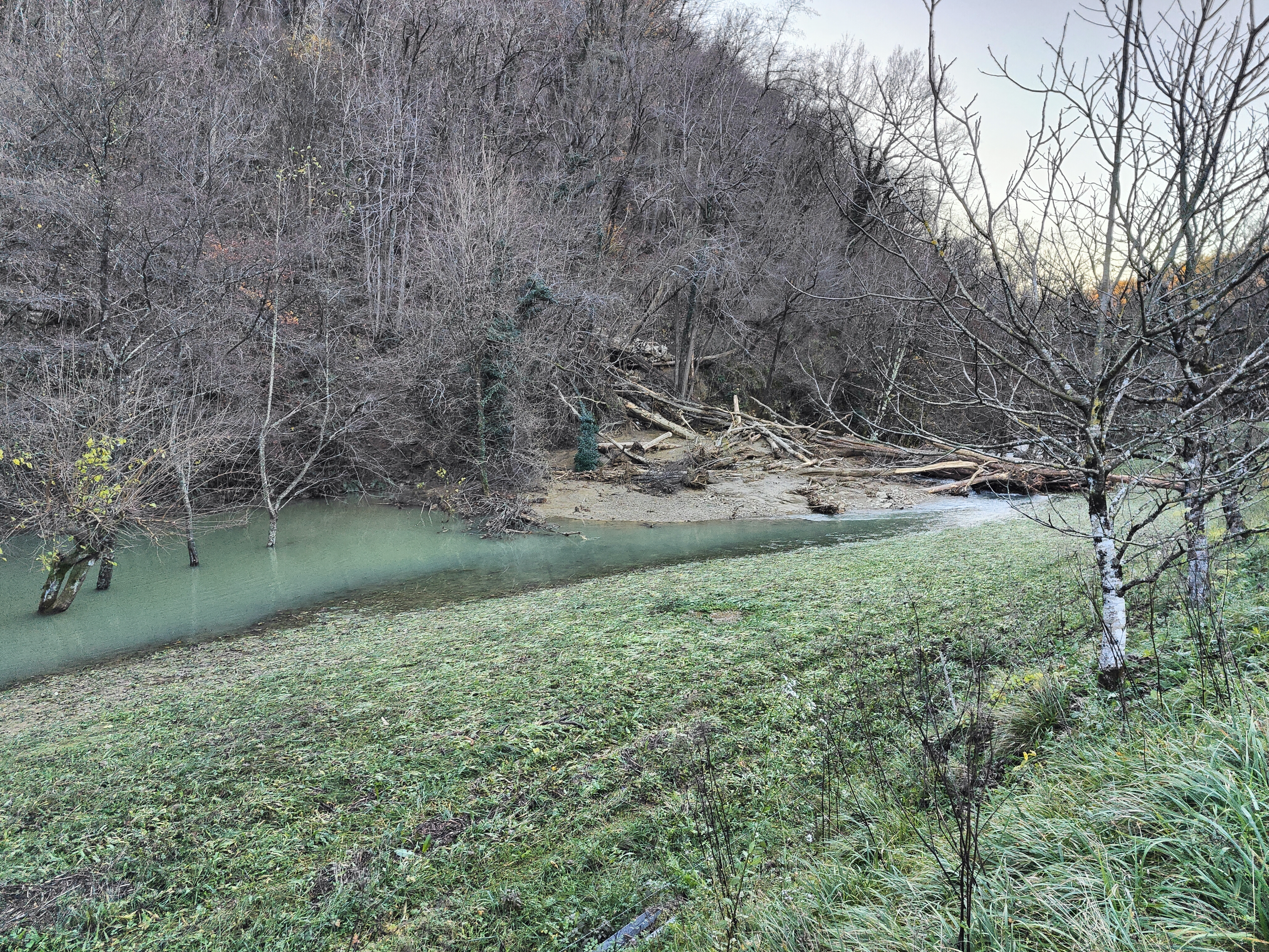 Plaz, ki je v Brdicah pri Kožbani zajezil potok Kožbanjšček