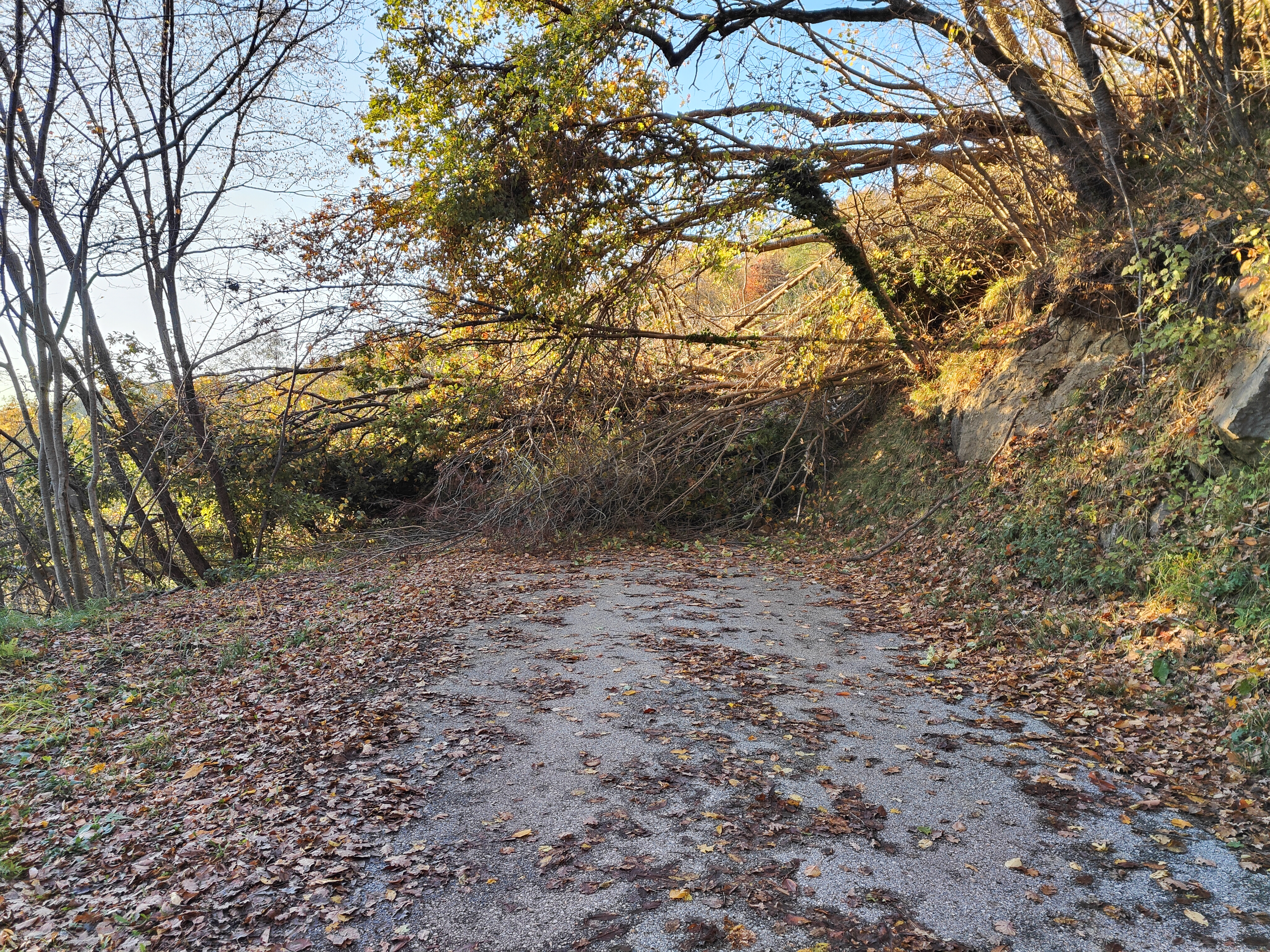 Veliki plaz pri Kožbani