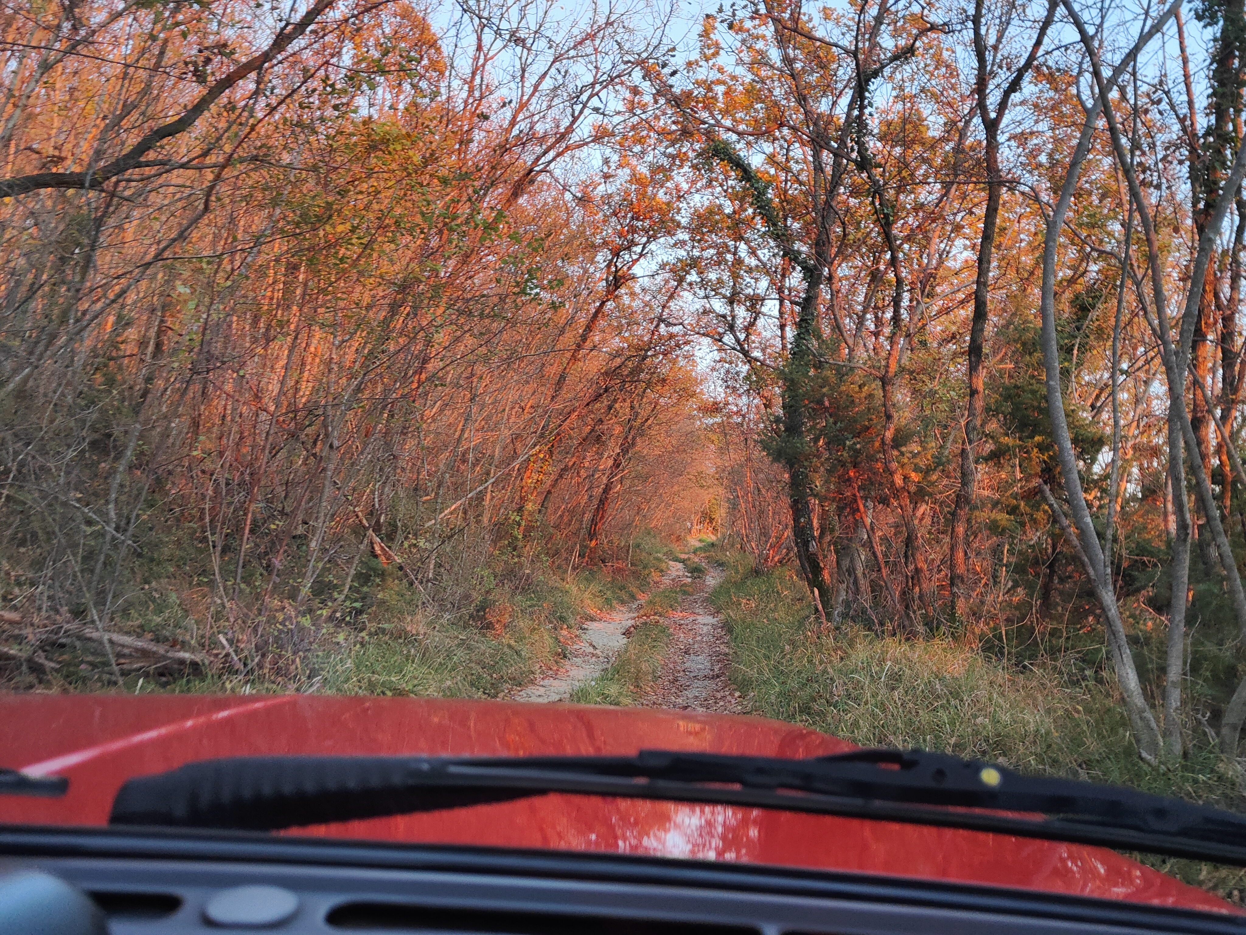 Stara gozdna pot, po kateri se s terencem lahko pride v Kožbanski kot